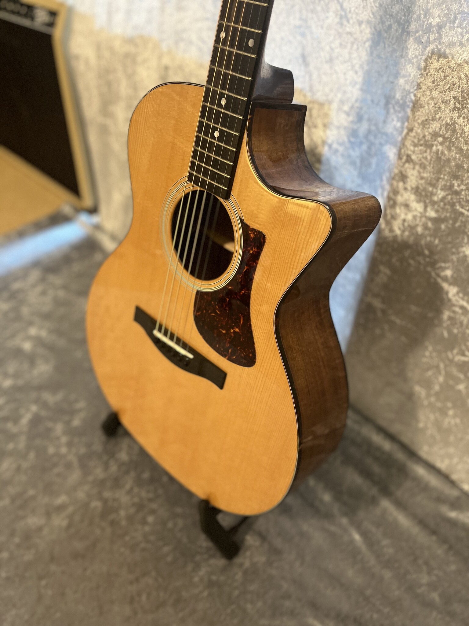 Eastman Eastman AC222CE-DLX