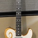 Hayride Hayride Telecaster w/Bigsby