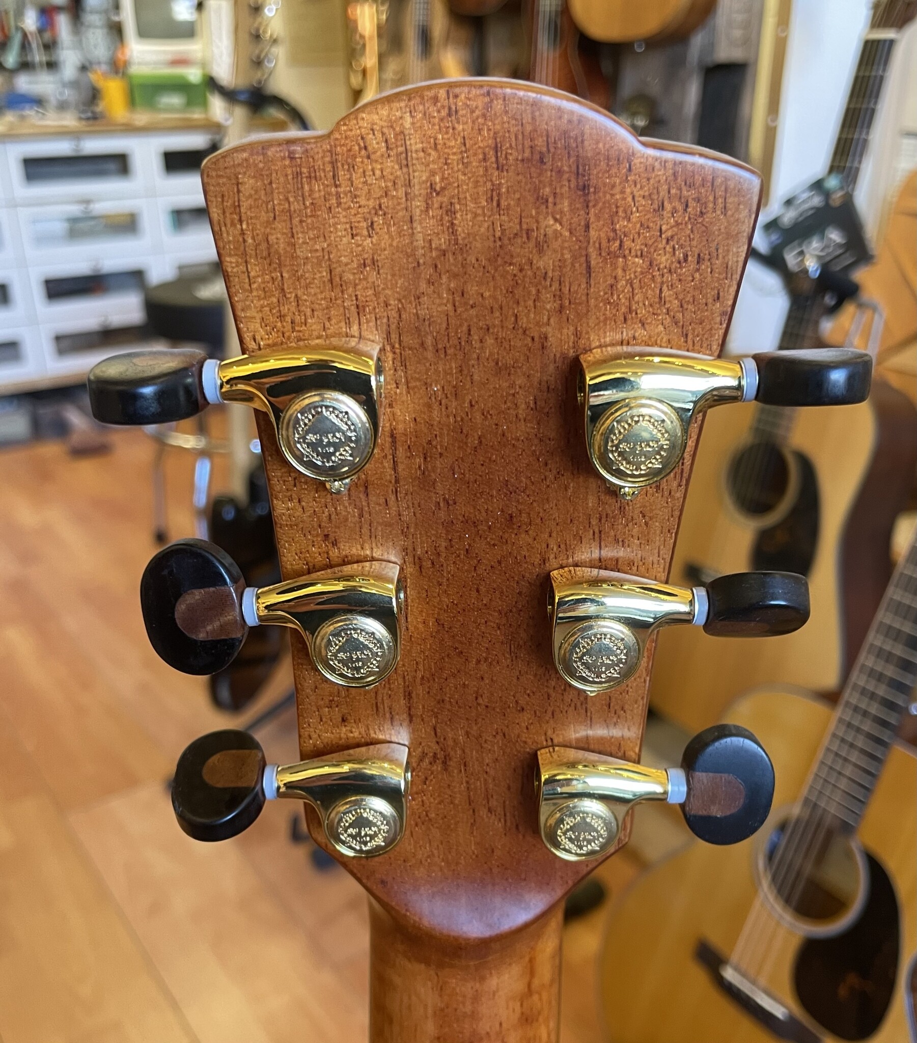 Mérida Extrema Guitars Merida Tribecca