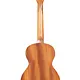 Kala Kala Tenor Ukulele Unity Mahogany KA-UNITY-T