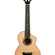 Kala Kala Tenor Ukulele Contour All Solid KA-CT-SSRW-TG-C