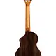 Kala Kala Tenor Ukulele Contour All Solid KA-CT-SSRW-TG-C