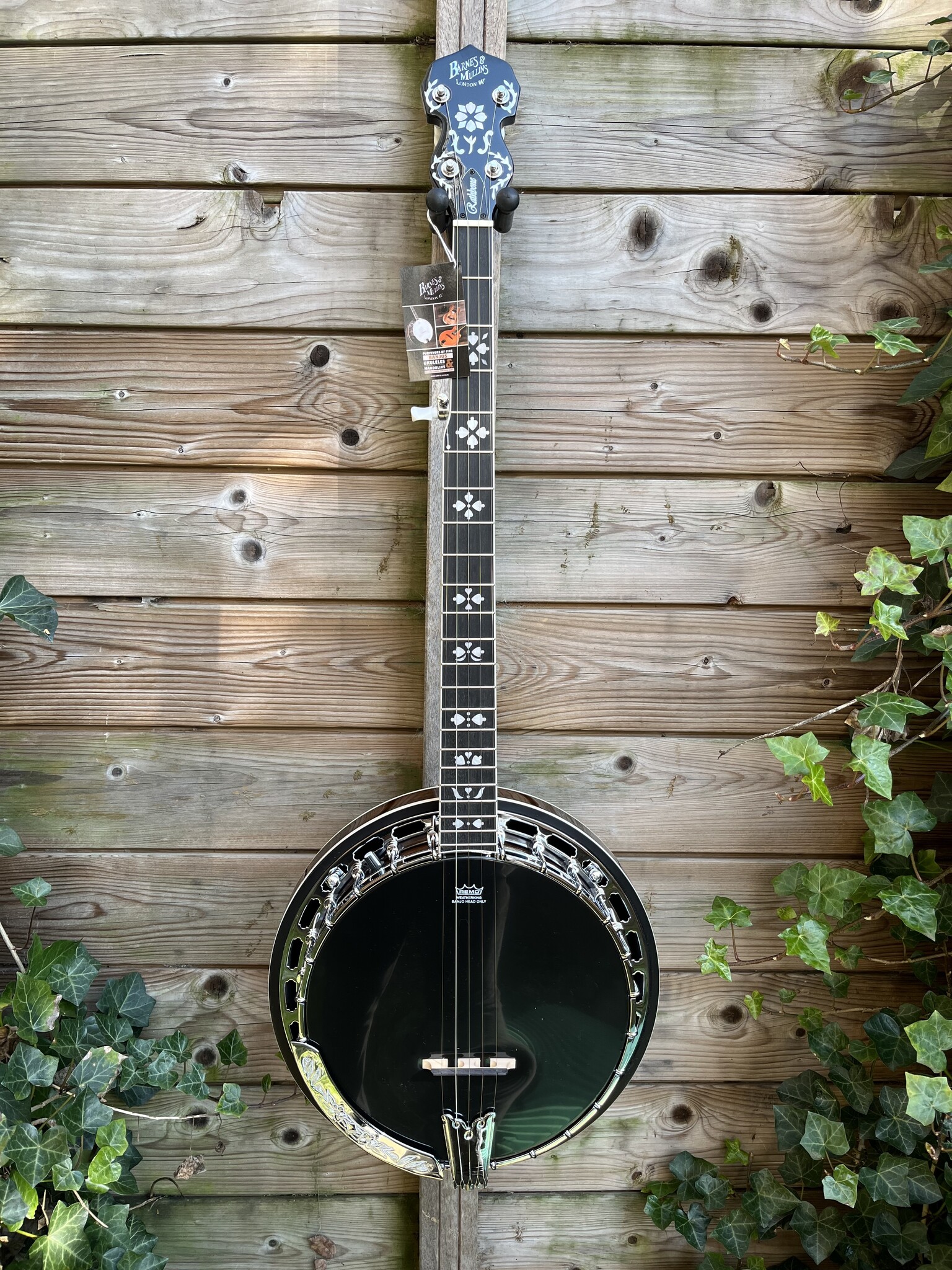 Barnes & Mullins Barnes & Mullins London W. 'Rathbone' 5-String Electro Banjo BJ400E