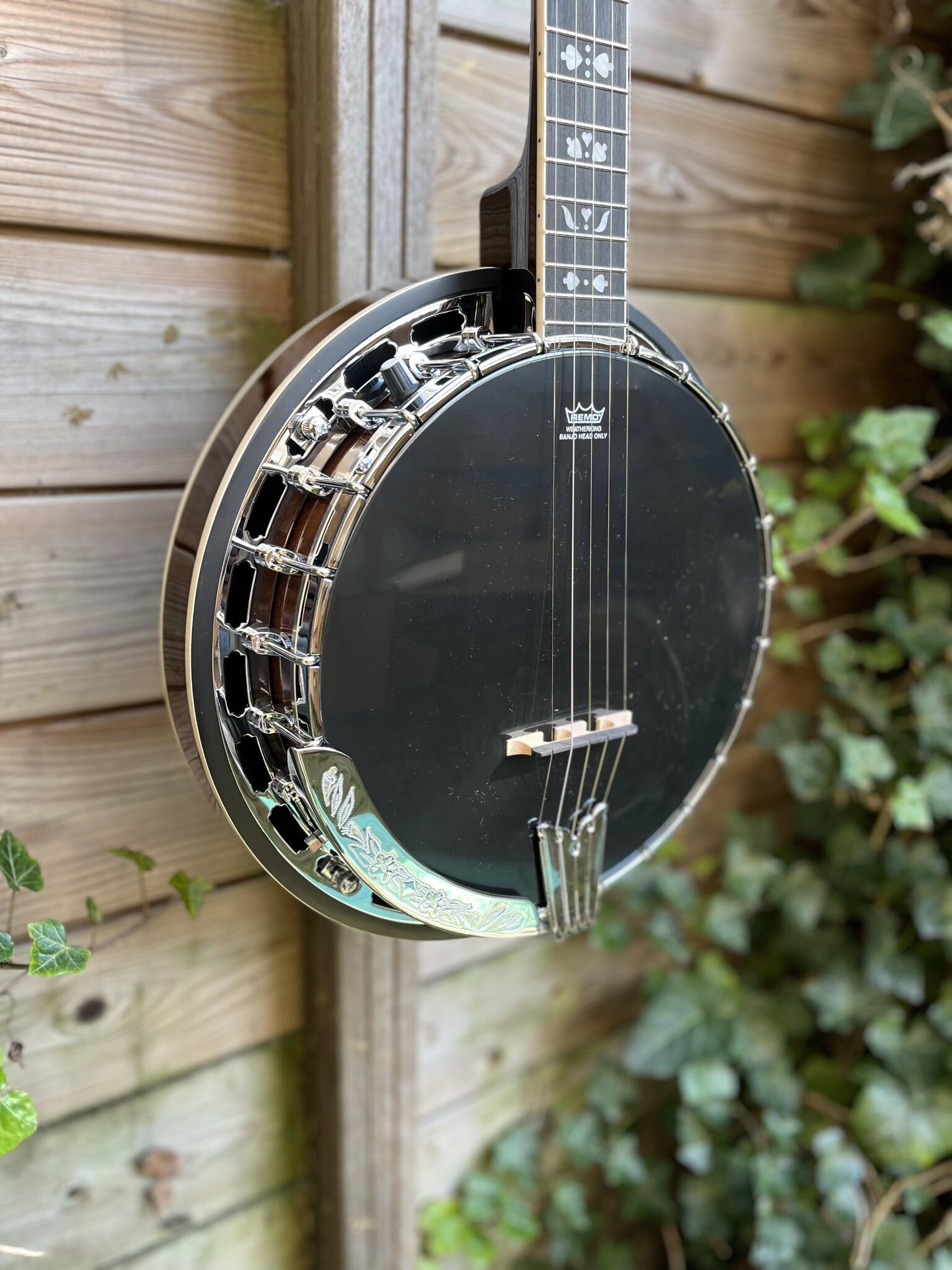 Barnes & Mullins Barnes & Mullins London W. 'Rathbone' 5-String Electro Banjo BJ400E