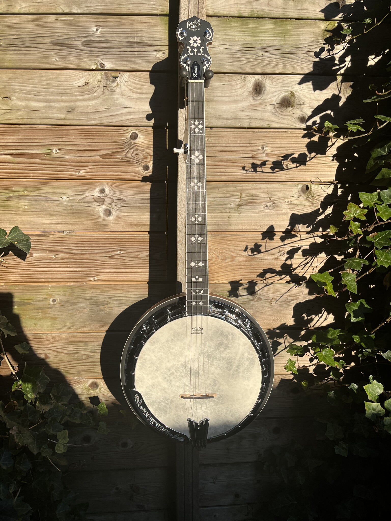 Barnes & Mullins Barnes & Mullins London W. Empress 5-String Banjo BJ500BW