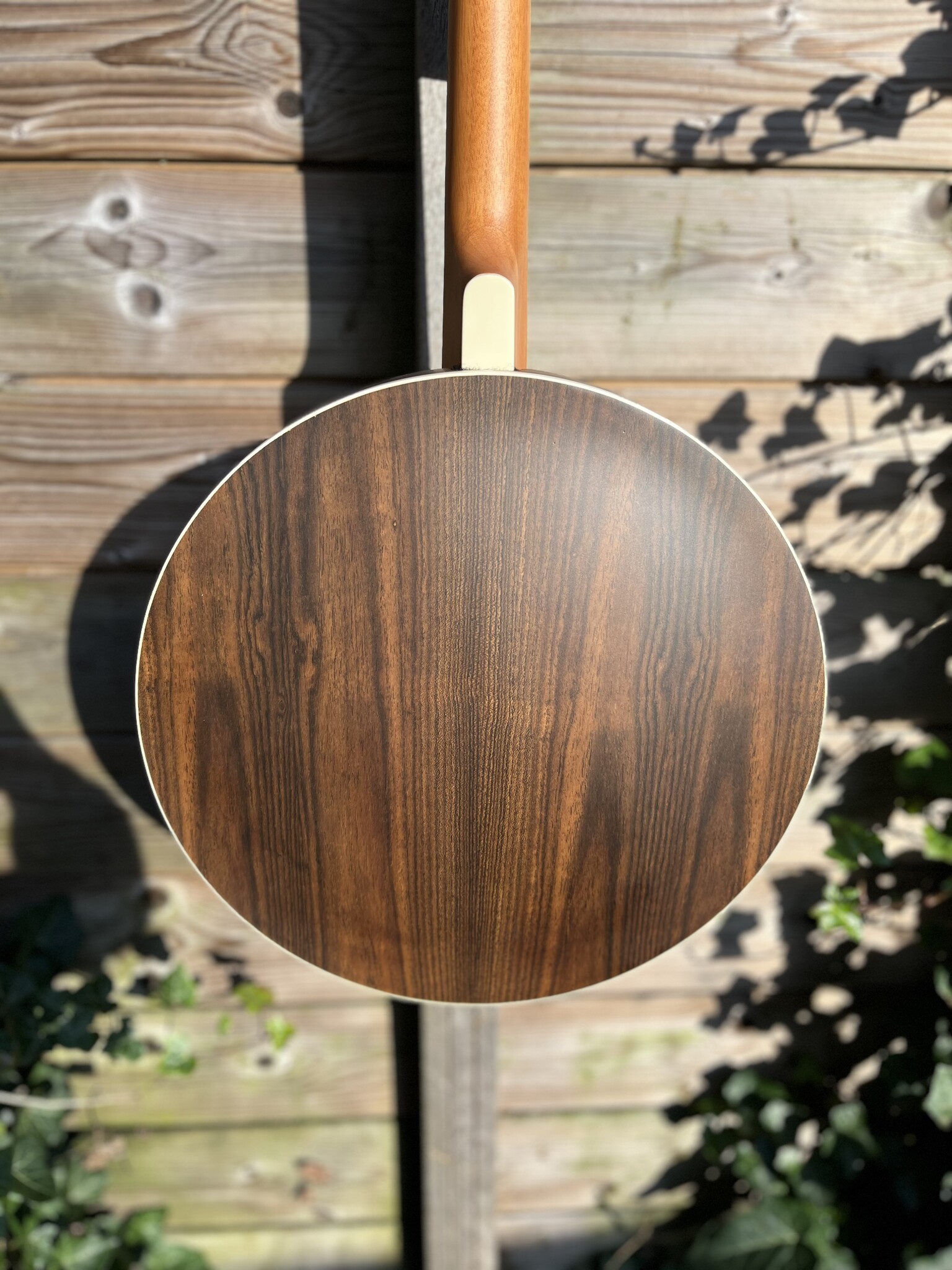 Barnes & Mullins Barnes & Mullins London W. Empress Irish Gaelic Tenor 4-String Banjo BJ504BWGT