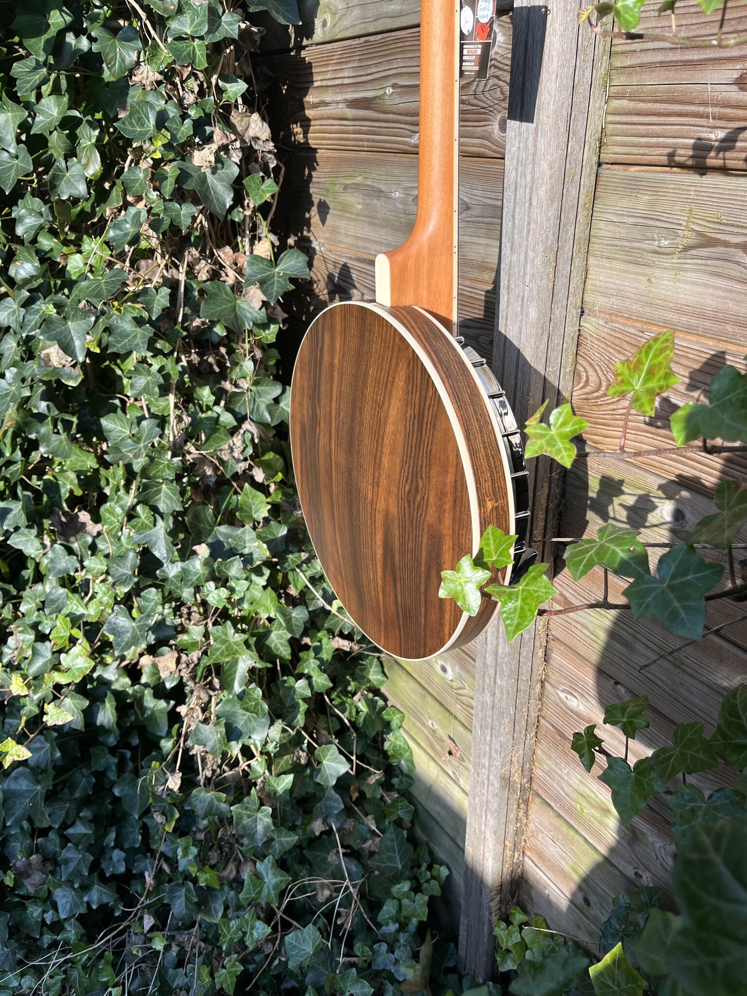 Barnes & Mullins Barnes & Mullins London W. Empress Irish Gaelic Tenor 4-String Banjo BJ504BWGT