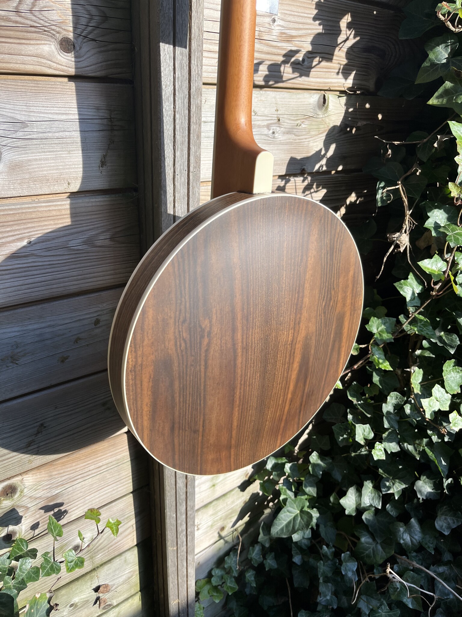 Barnes & Mullins Barnes & Mullins London W. Empress Irish Gaelic Tenor 4-String Banjo BJ504BWGT