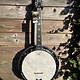 Barnes & Mullins Barnes & Mullins London W. Empress Irish Gaelic Tenor 4-String Banjo BJ504BWGT