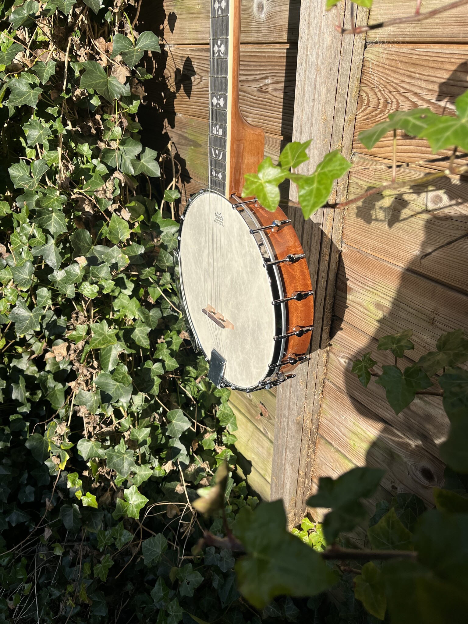 Barnes & Mullins Barnes & Mullins London W. Albert Open Back 5-String Banjo BJ350G