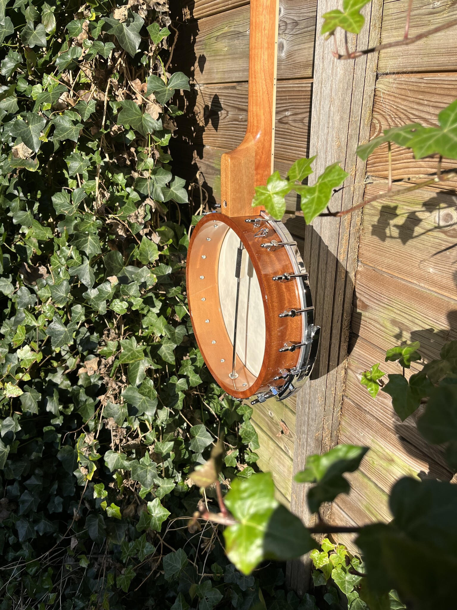 Barnes & Mullins Barnes & Mullins London W. Albert Open Back 5-String Banjo BJ350G