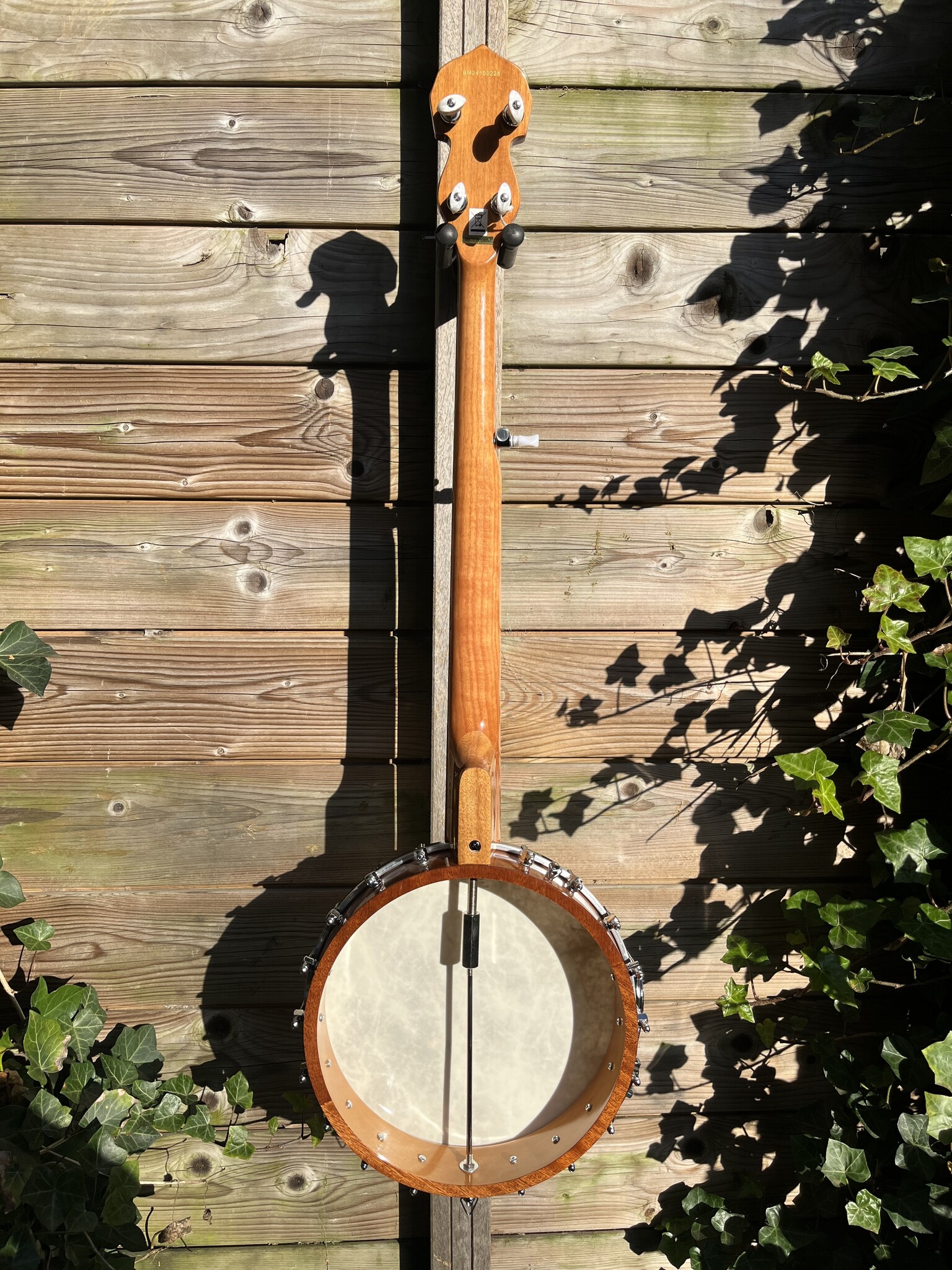Barnes & Mullins Barnes & Mullins London W. Albert Open Back 5-String Banjo BJ350G