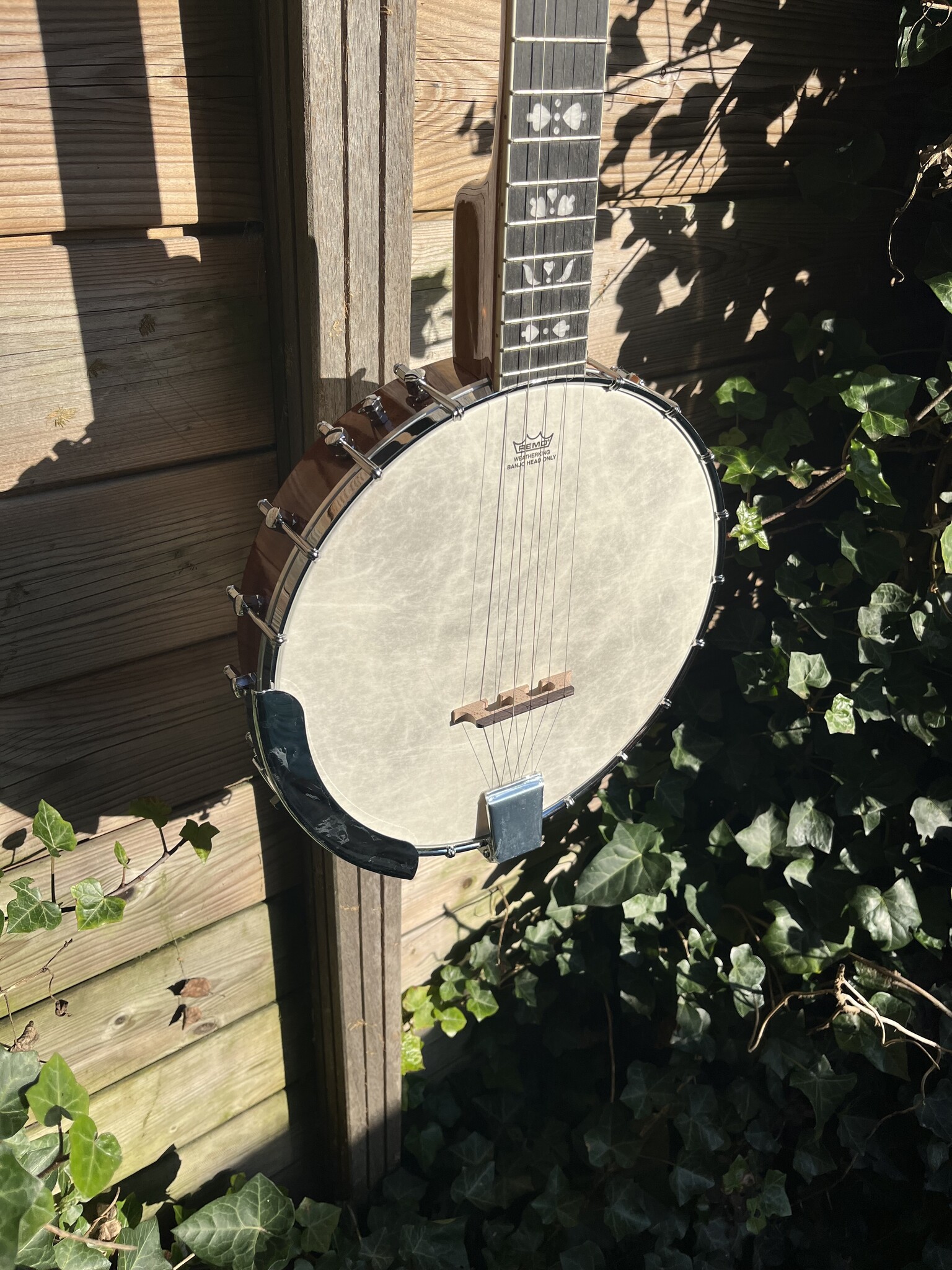 Barnes & Mullins Barnes & Mullins London W. Albert Open Back 5-String Banjo BJ350G