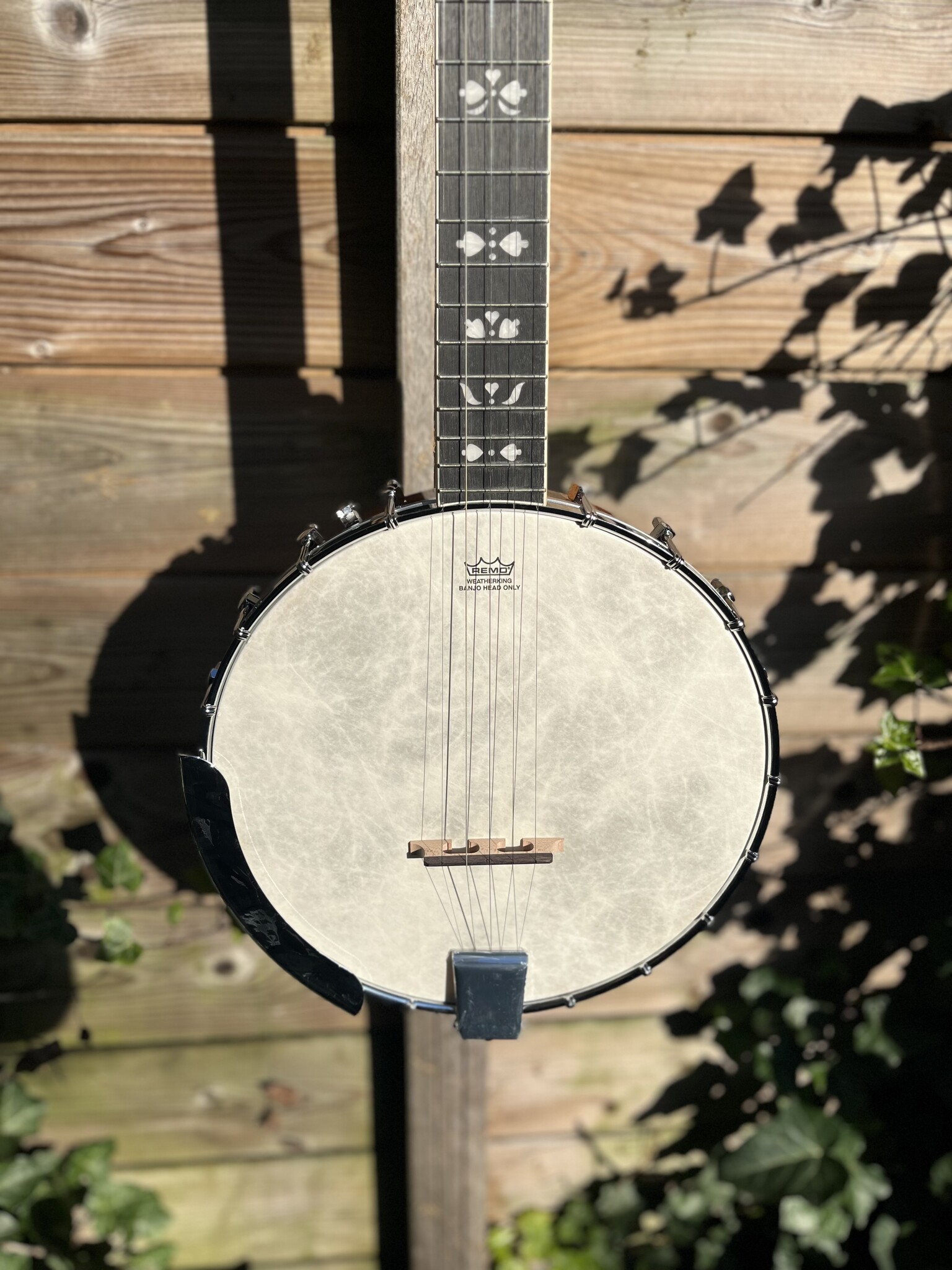 Barnes & Mullins Barnes & Mullins London W. Albert Open Back 5-String Banjo BJ350G
