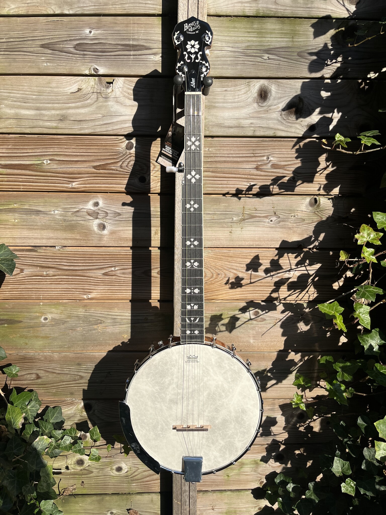 Barnes & Mullins Barnes & Mullins London W. Albert Open Back 5-String Banjo BJ350G