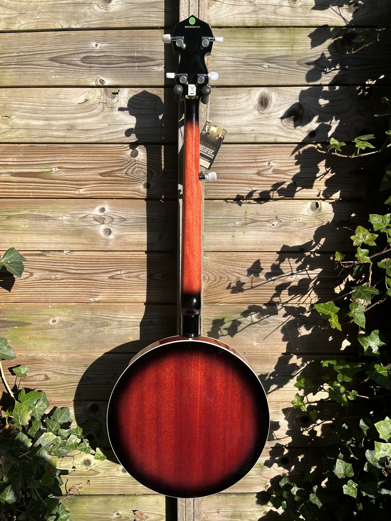 Barnes & Mullins Barnes & Mullins London W. Empress 5-String Banjo BJ500BW