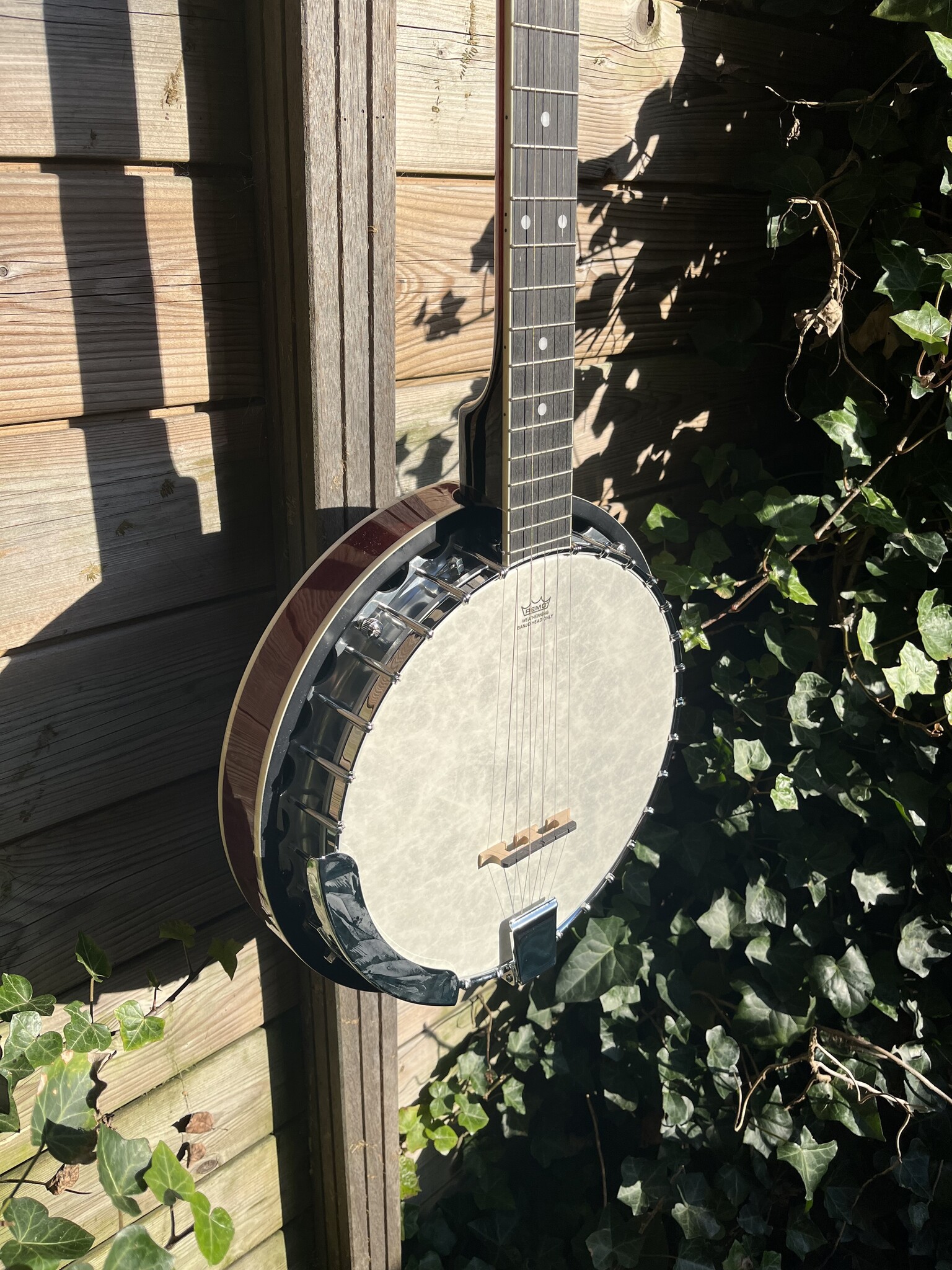 Barnes & Mullins Barnes & Mullins London W. Empress 5-String Banjo BJ500BW