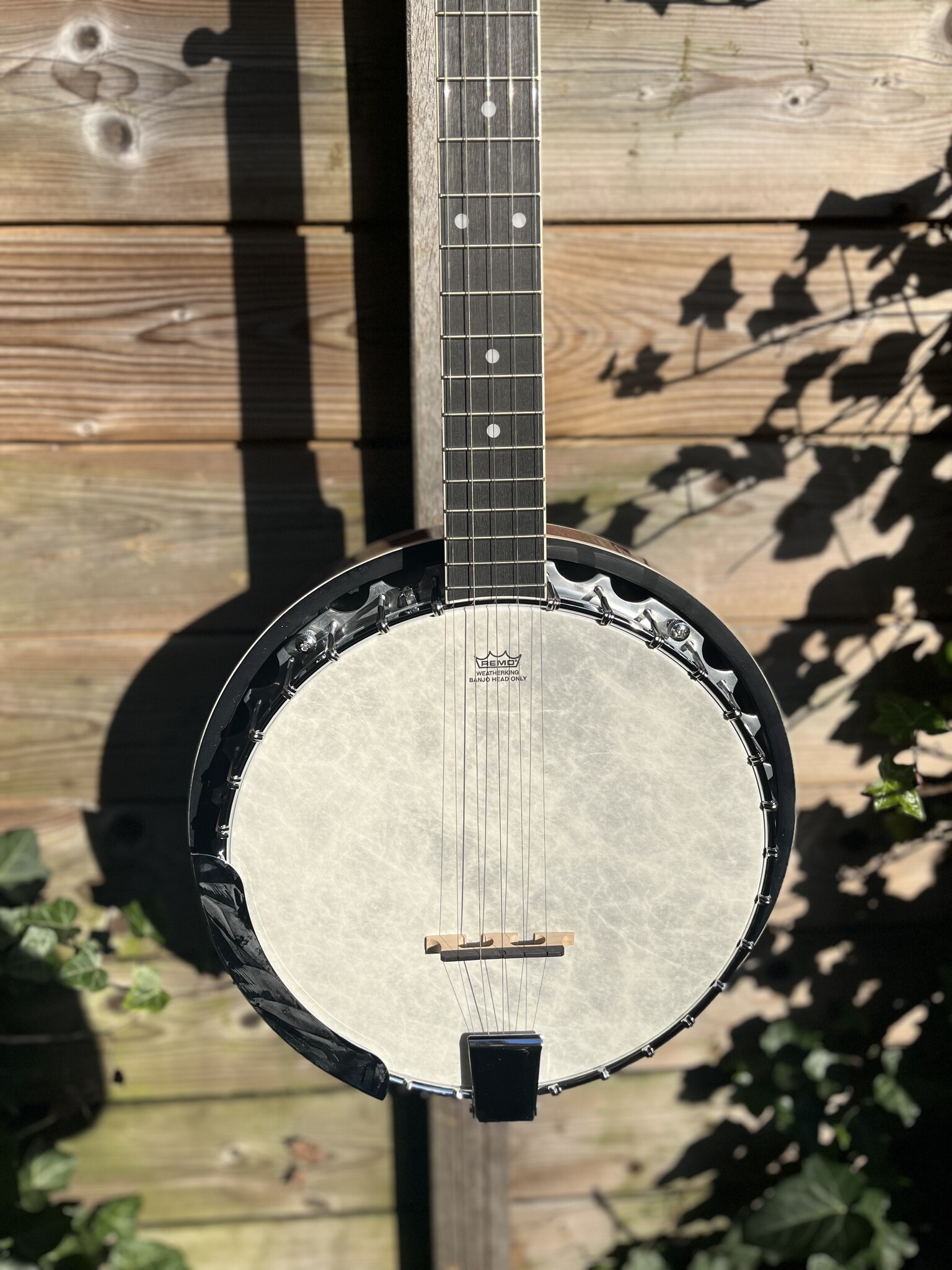 Barnes & Mullins Barnes & Mullins London W. Empress 5-String Banjo BJ500BW