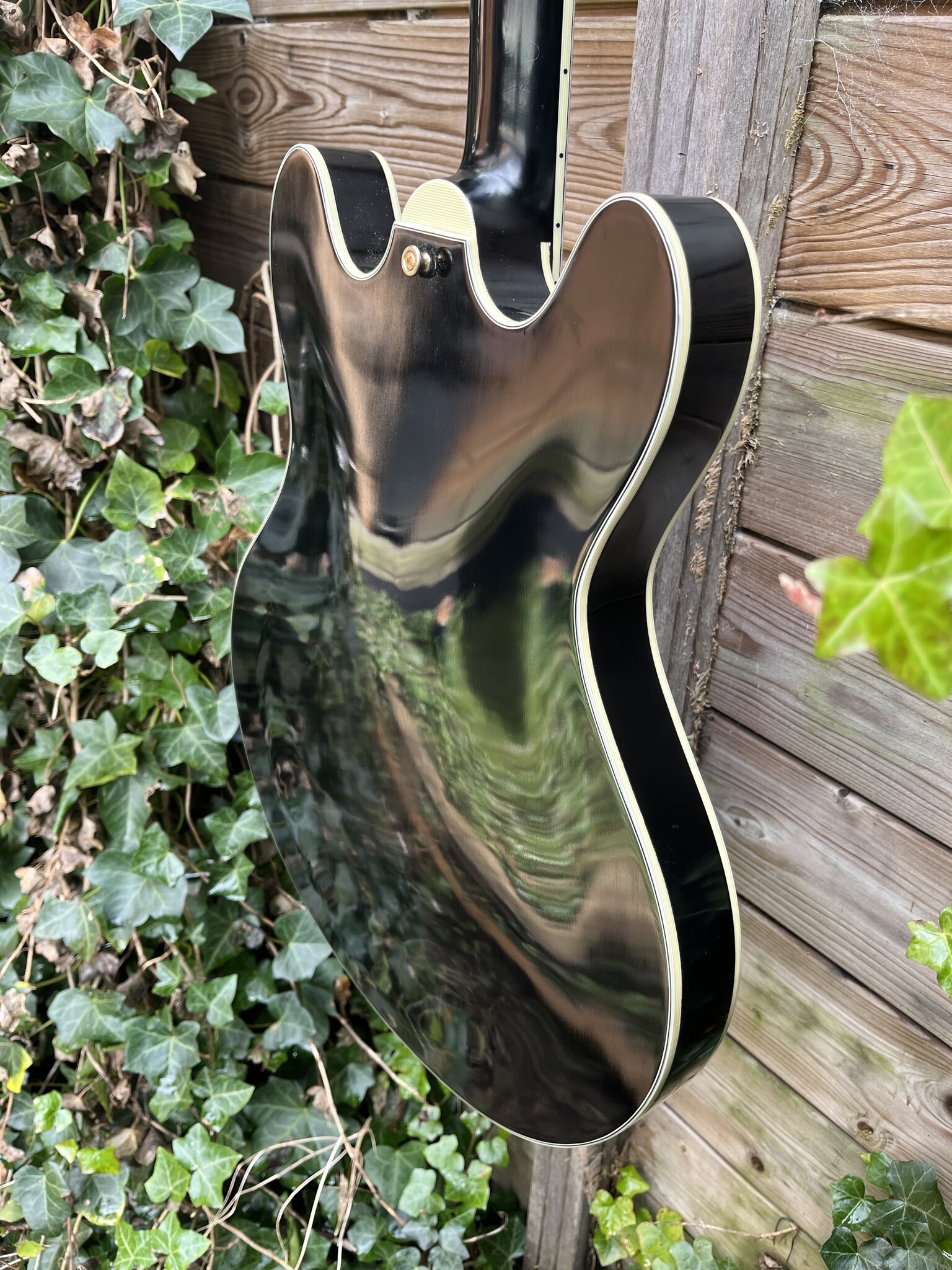 Eastman Eastman T59/TV-B Limited Edition True Vintage Black