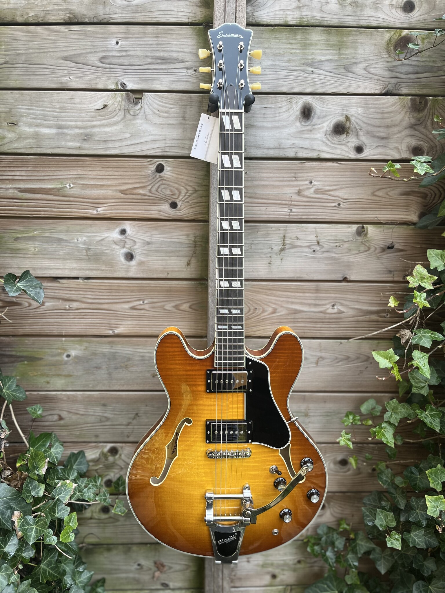 Eastman Eastman T486B Goldburst