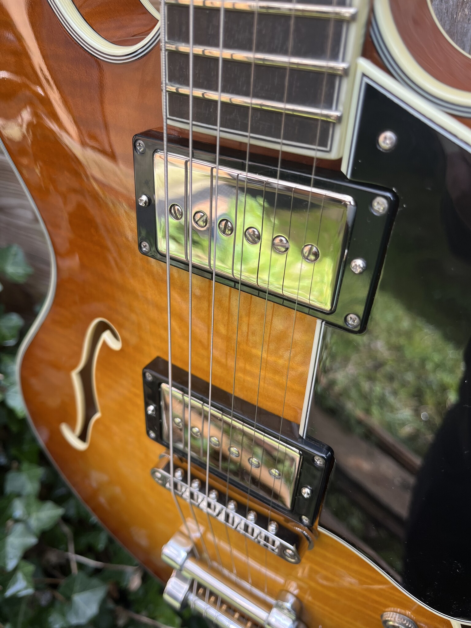 Eastman Eastman T486B Goldburst