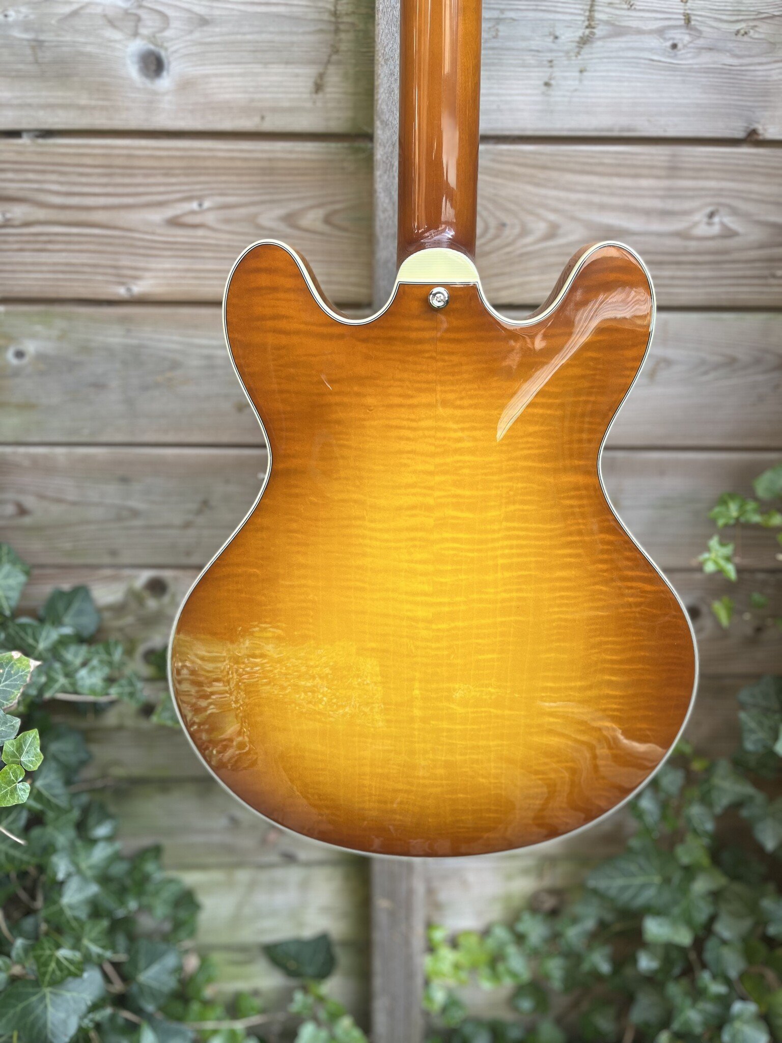 Eastman Eastman T486B Goldburst