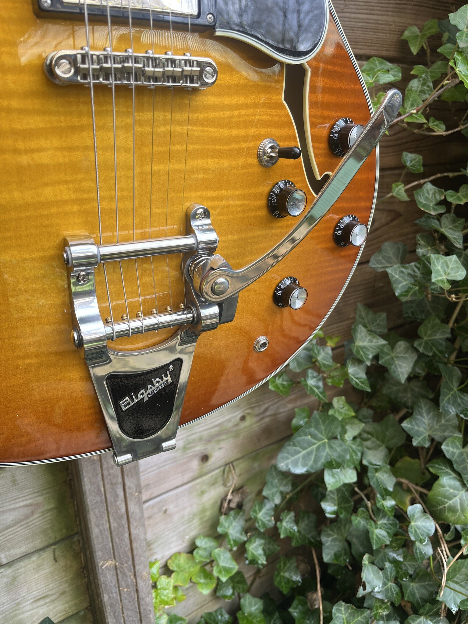 Eastman Eastman T486B Goldburst