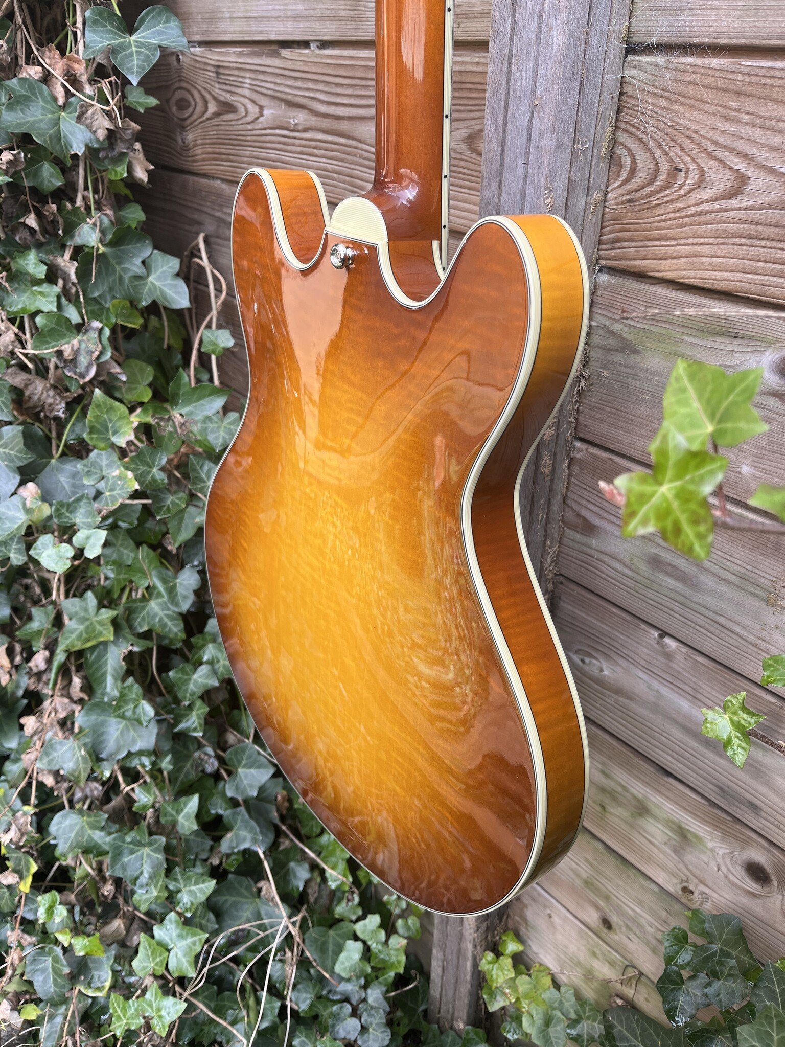 Eastman Eastman T486B Goldburst