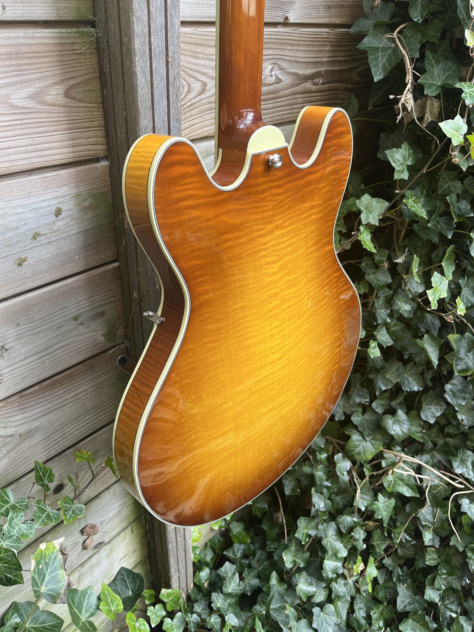 Eastman Eastman T486B Goldburst