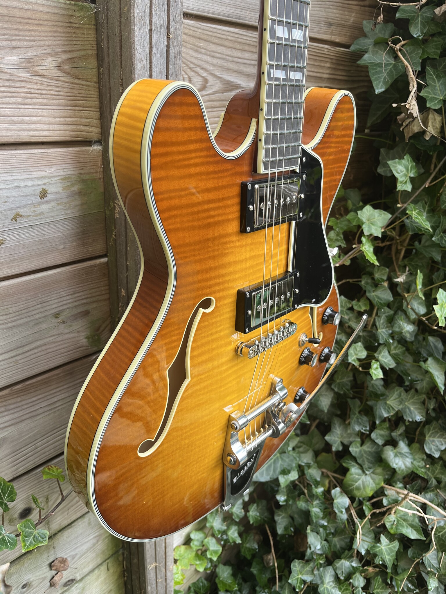 Eastman Eastman T486B Goldburst