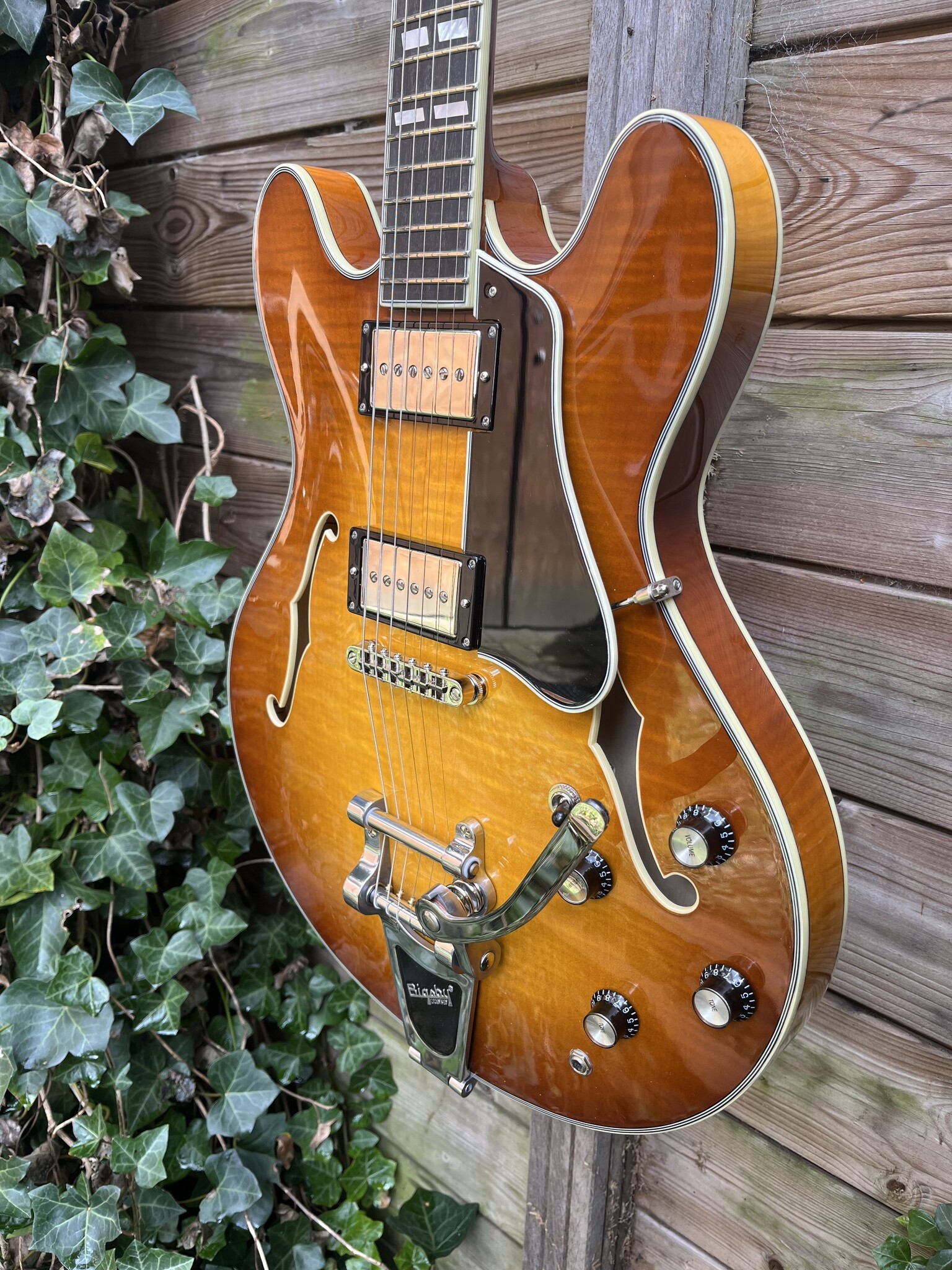 Eastman Eastman T486B Goldburst