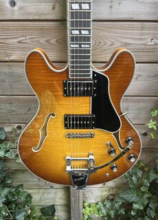 Eastman Eastman T486B Goldburst