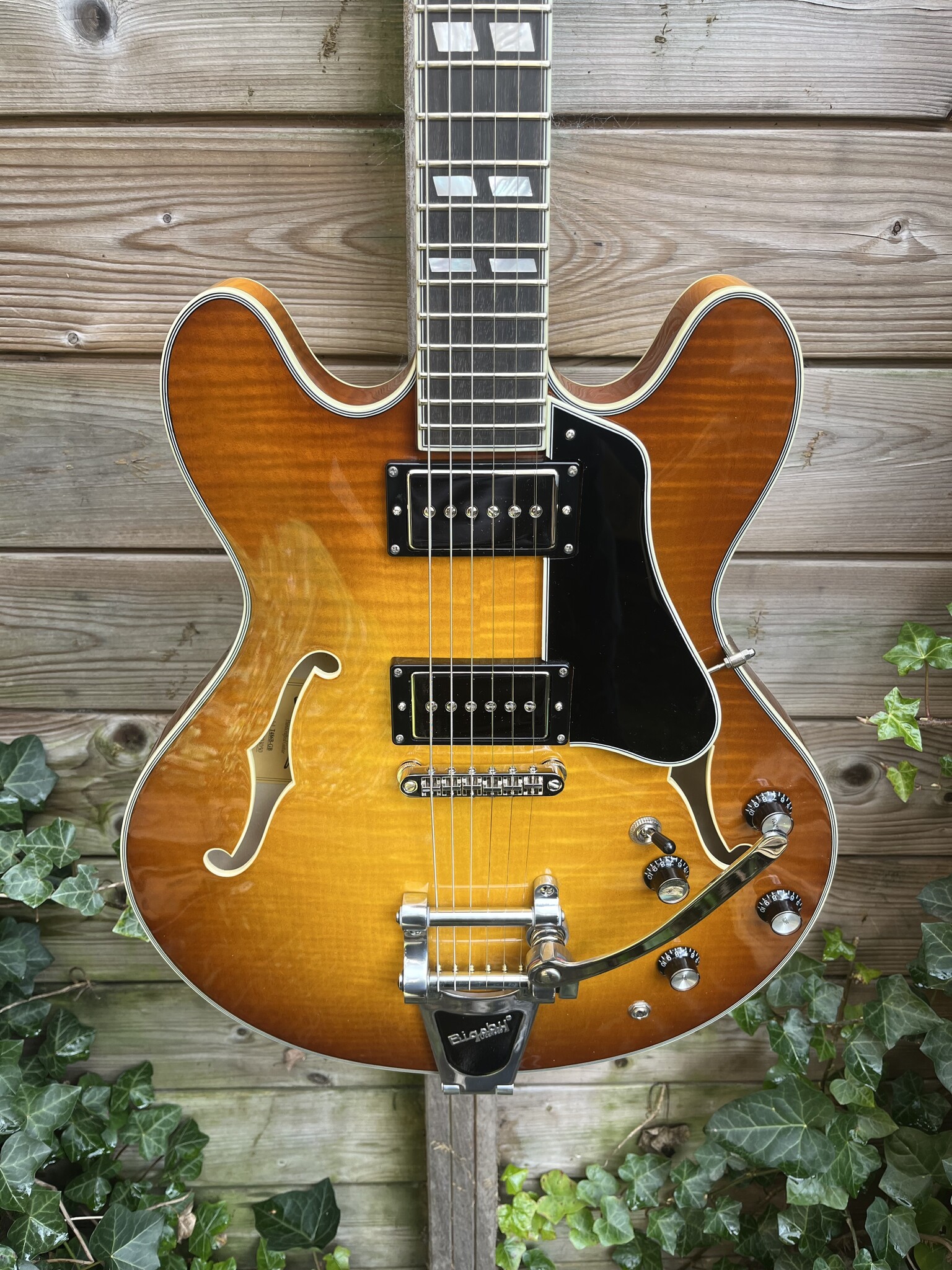 Eastman Eastman T486B Goldburst