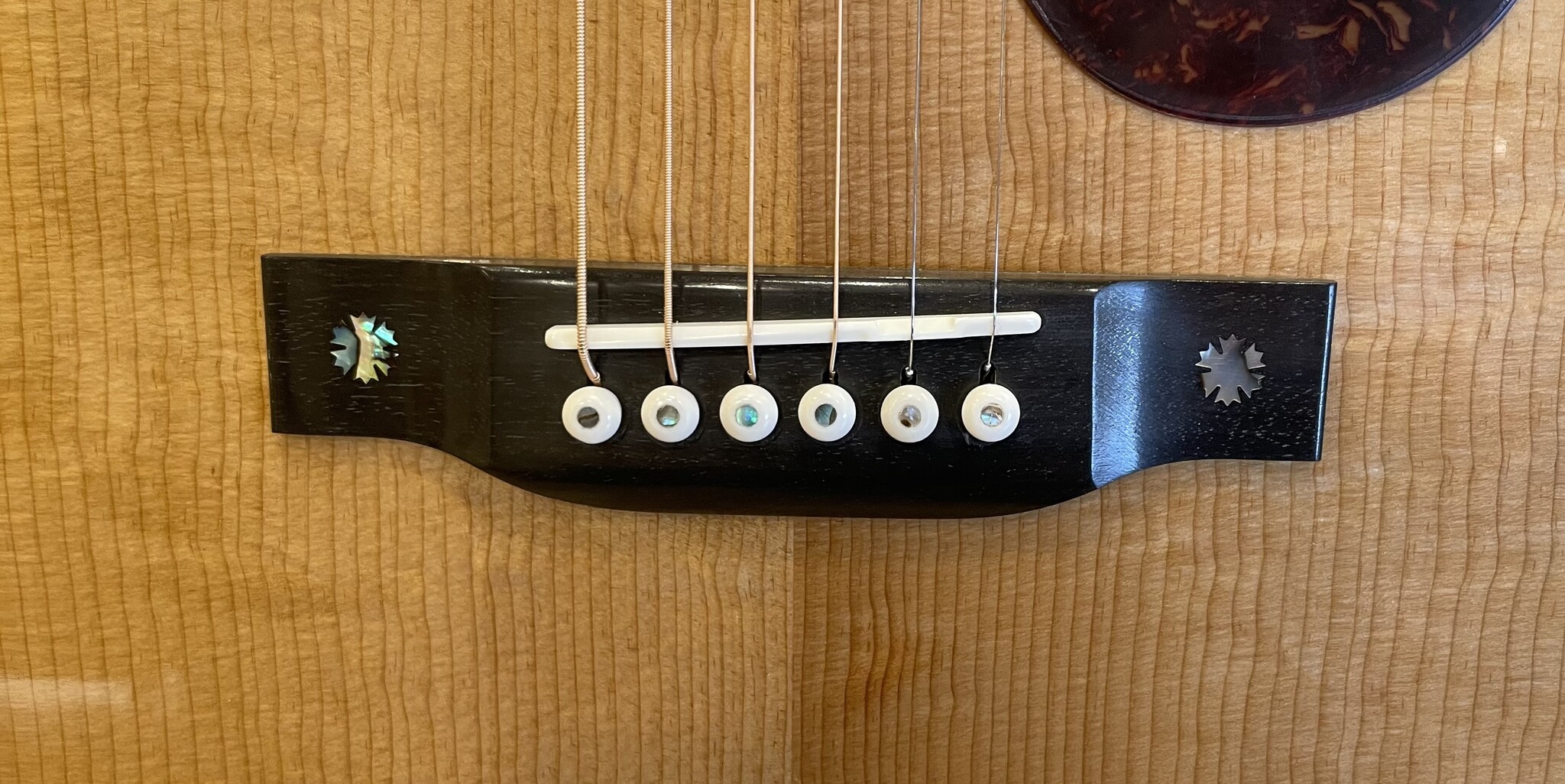 Eastman Eastman E40 OM-TC (#...590)