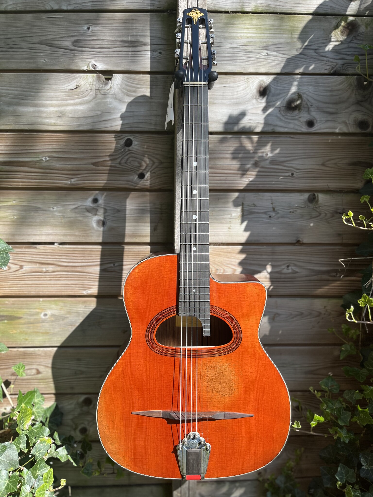 Eastman Eastman DM4/V Grande Bouche