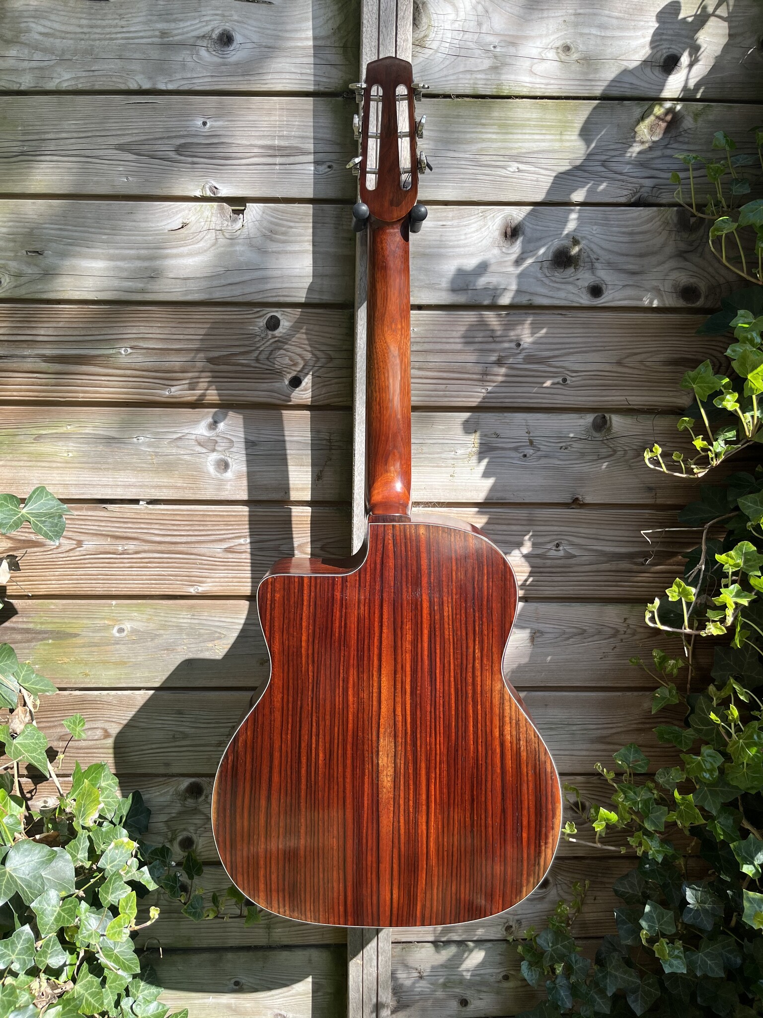 Eastman Eastman DM4/V Grande Bouche