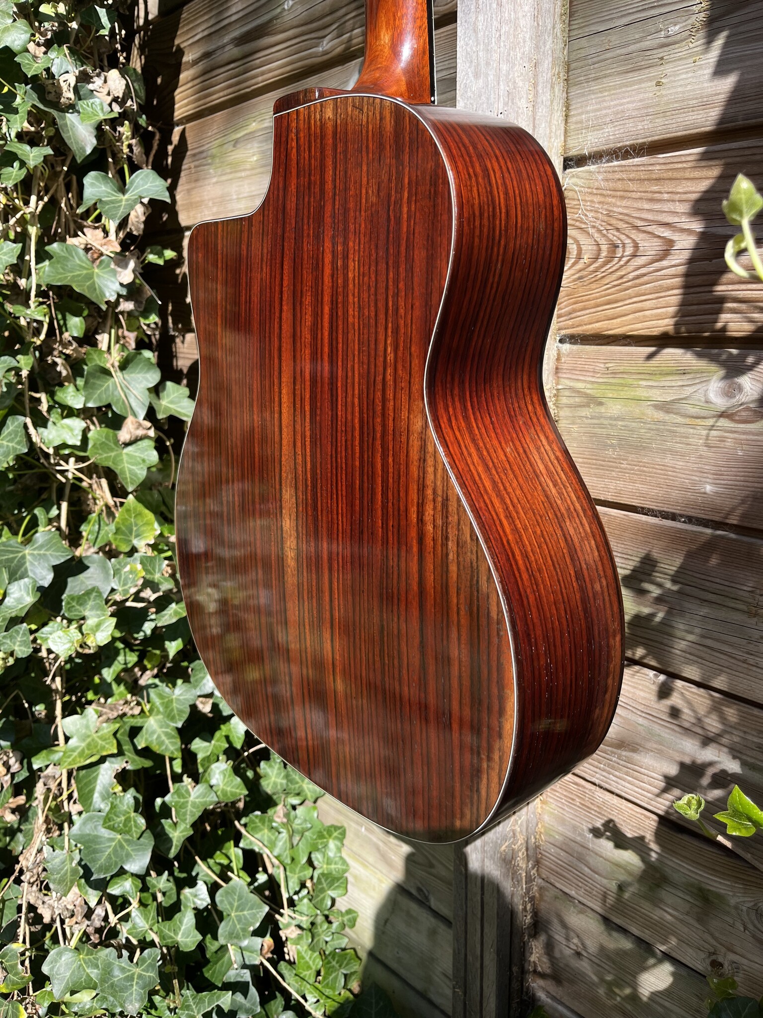 Eastman Eastman DM4/V Grande Bouche