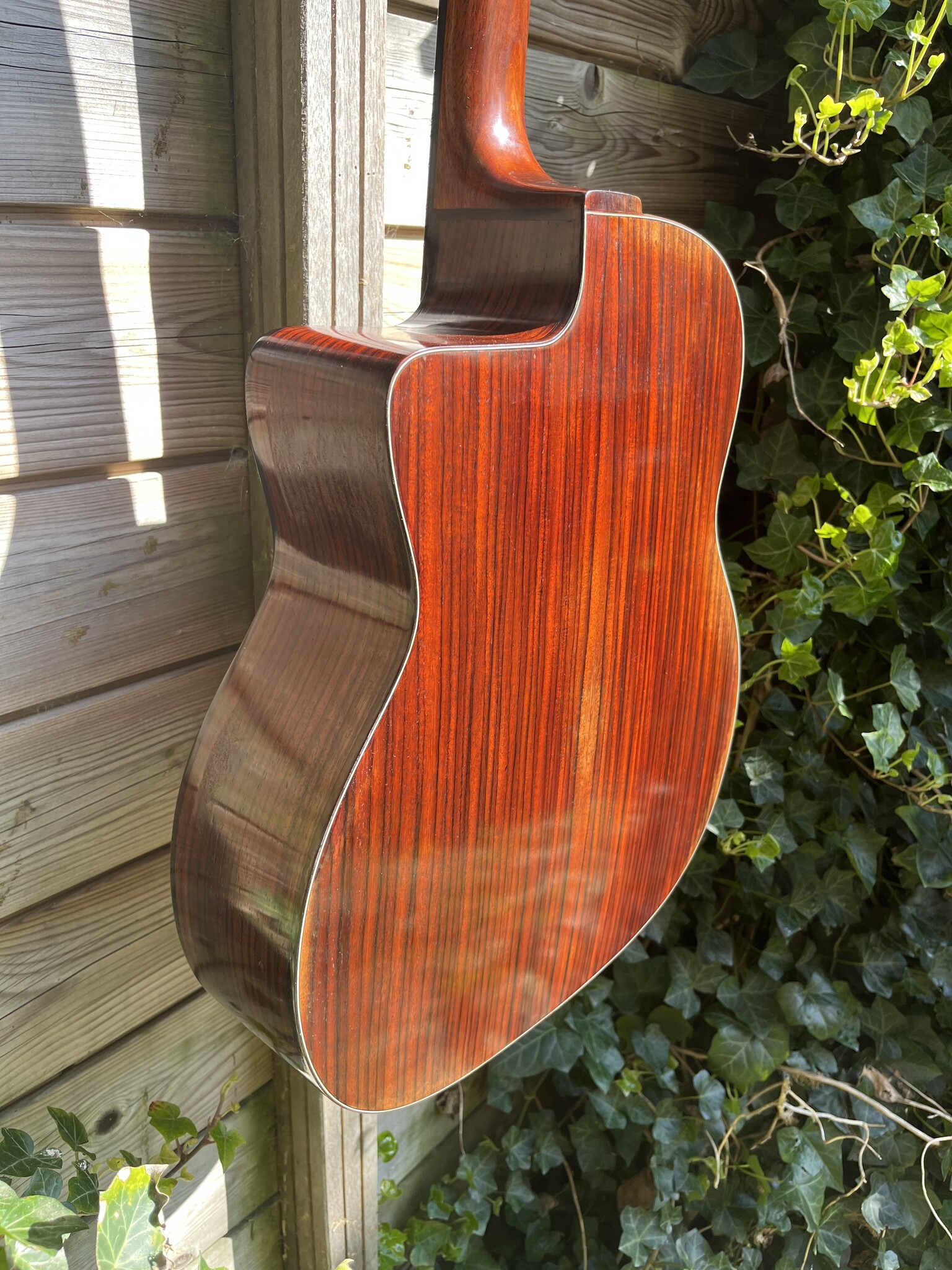 Eastman Eastman DM4/V Grande Bouche