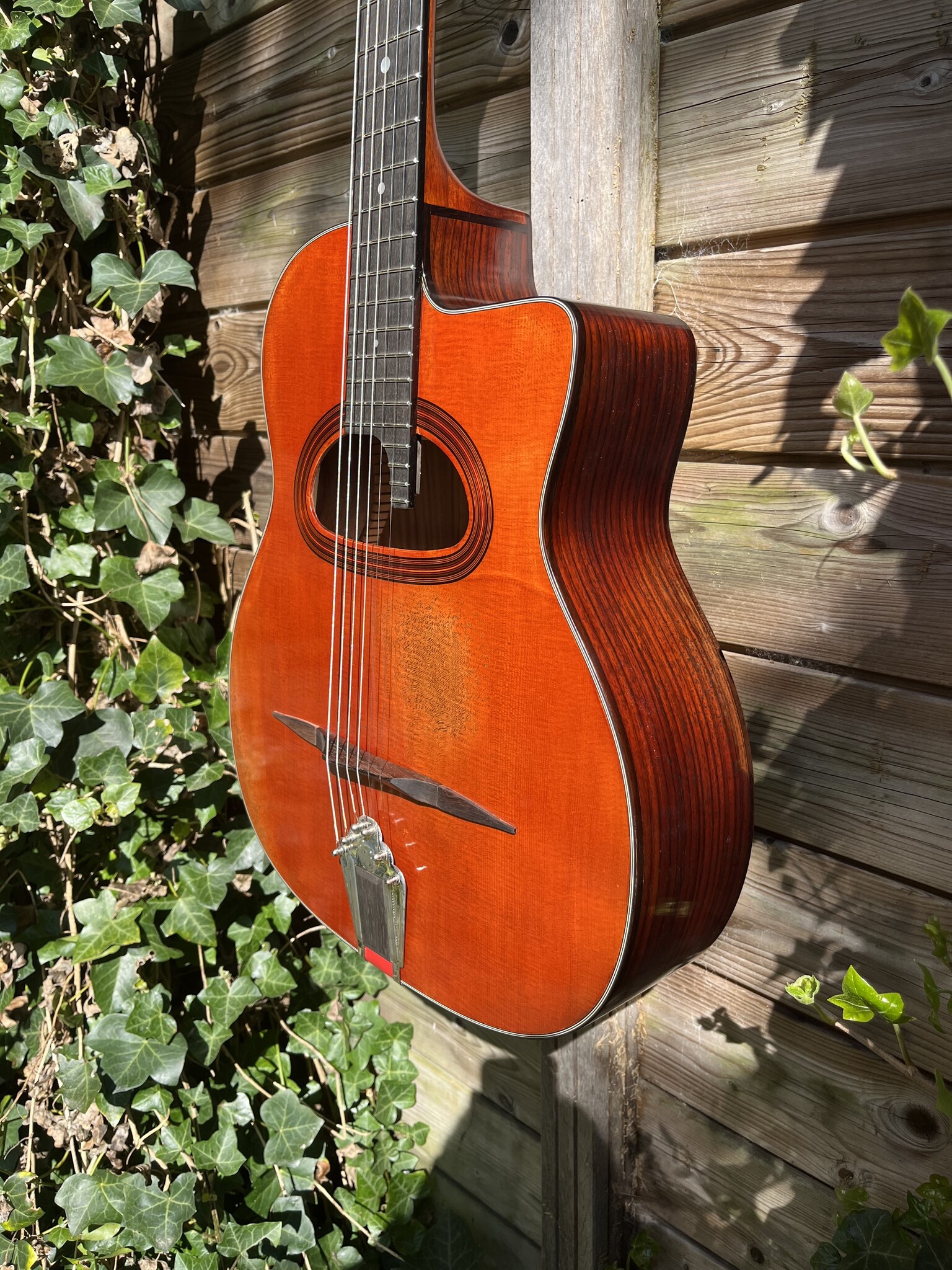 Eastman Eastman DM4/V Grande Bouche