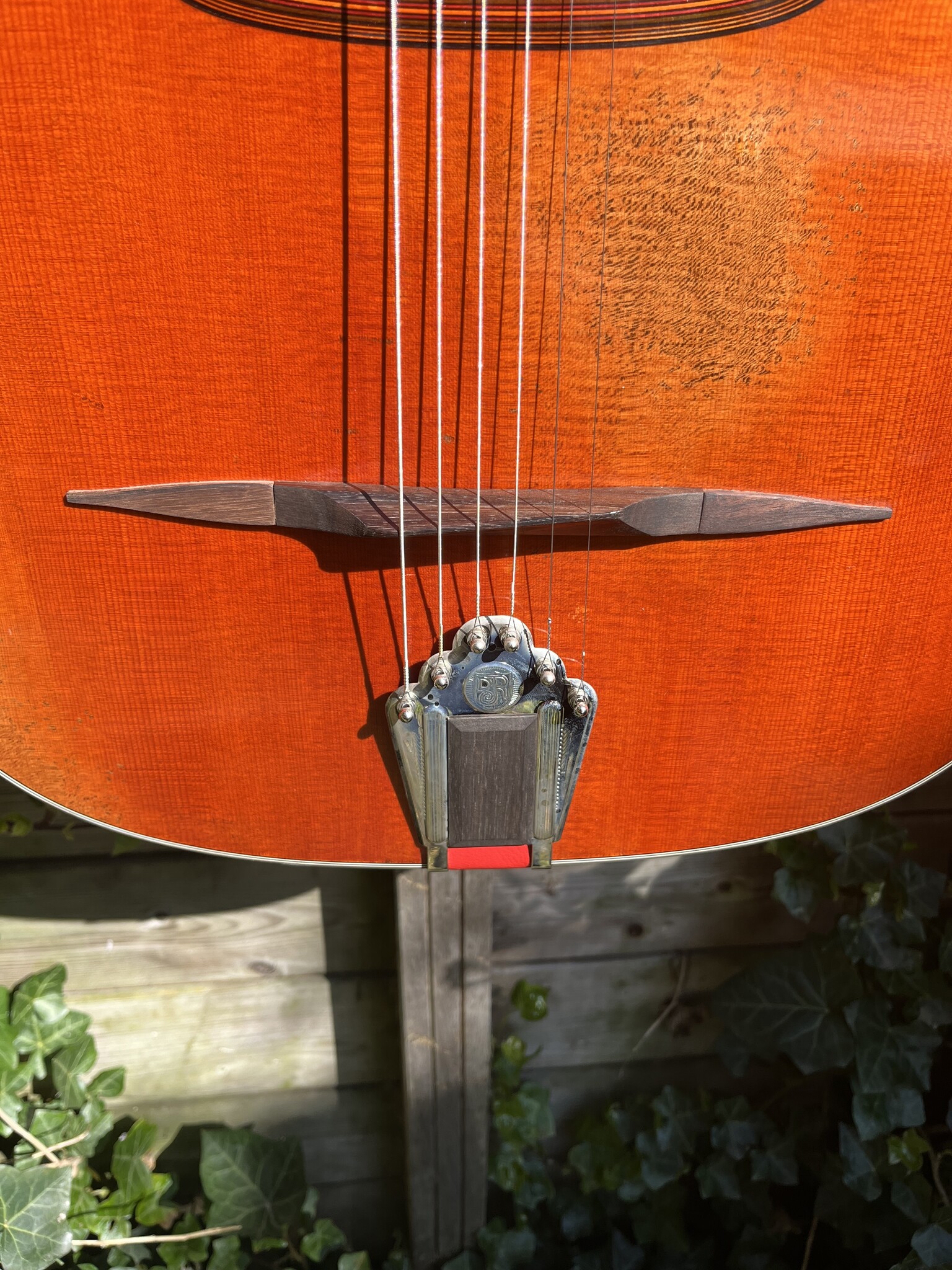 Eastman Eastman DM4/V Grande Bouche