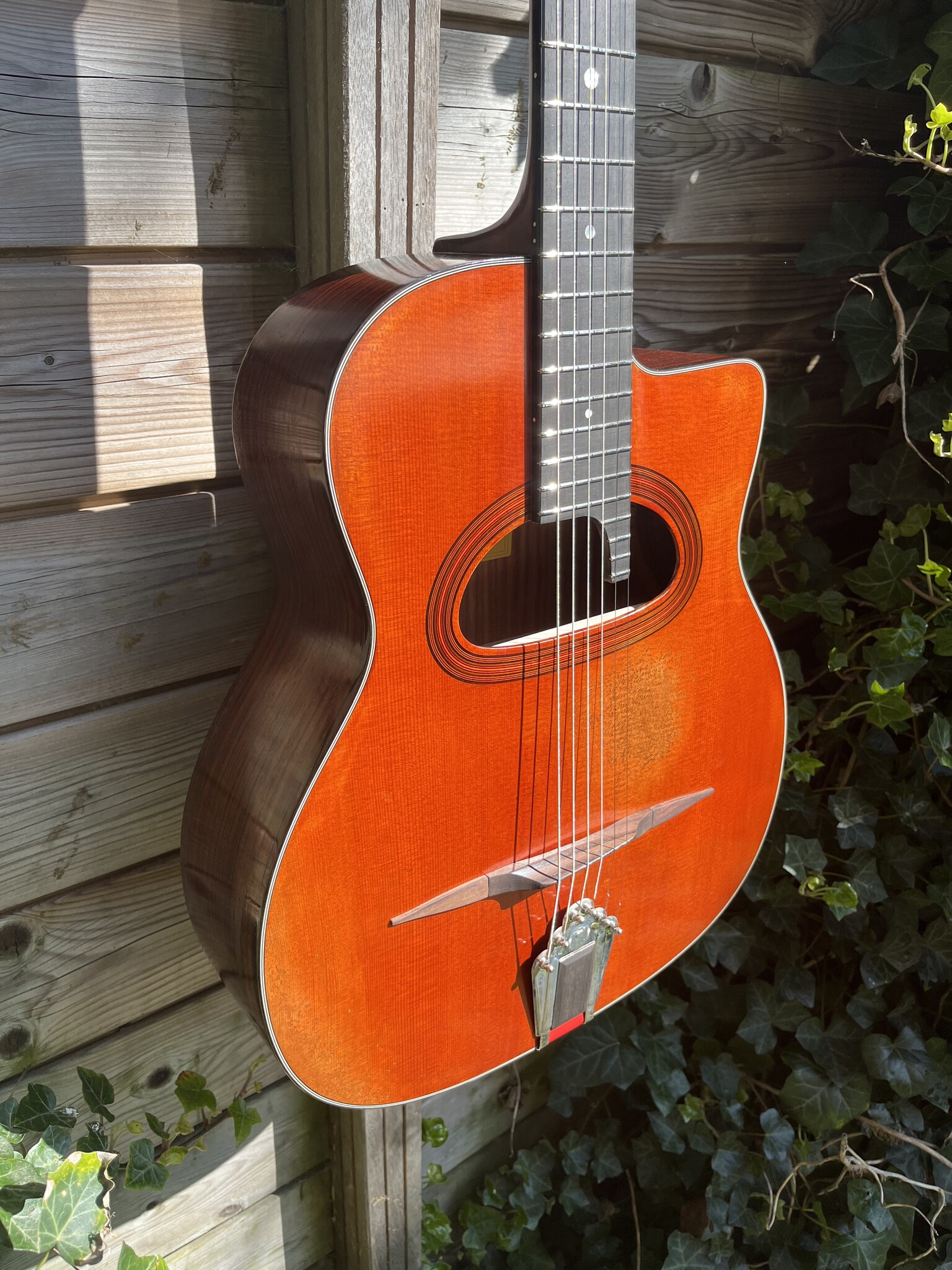 Eastman Eastman DM4/V Grande Bouche