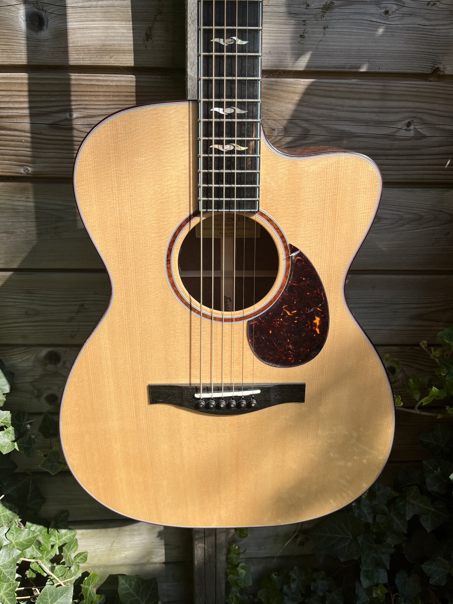 Eastman Eastman L-OMCE-QS