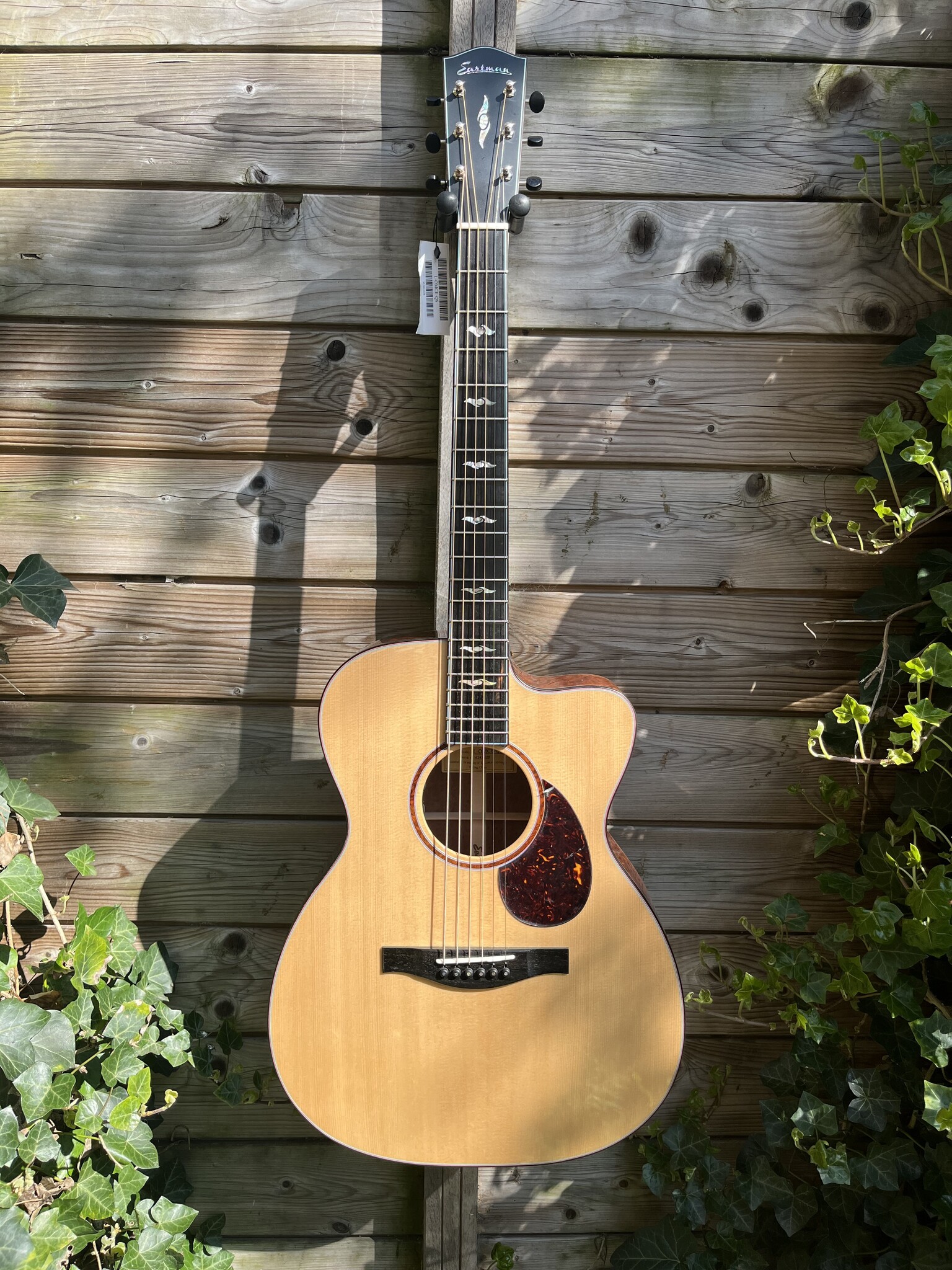 Eastman Eastman L-OMCE-QS