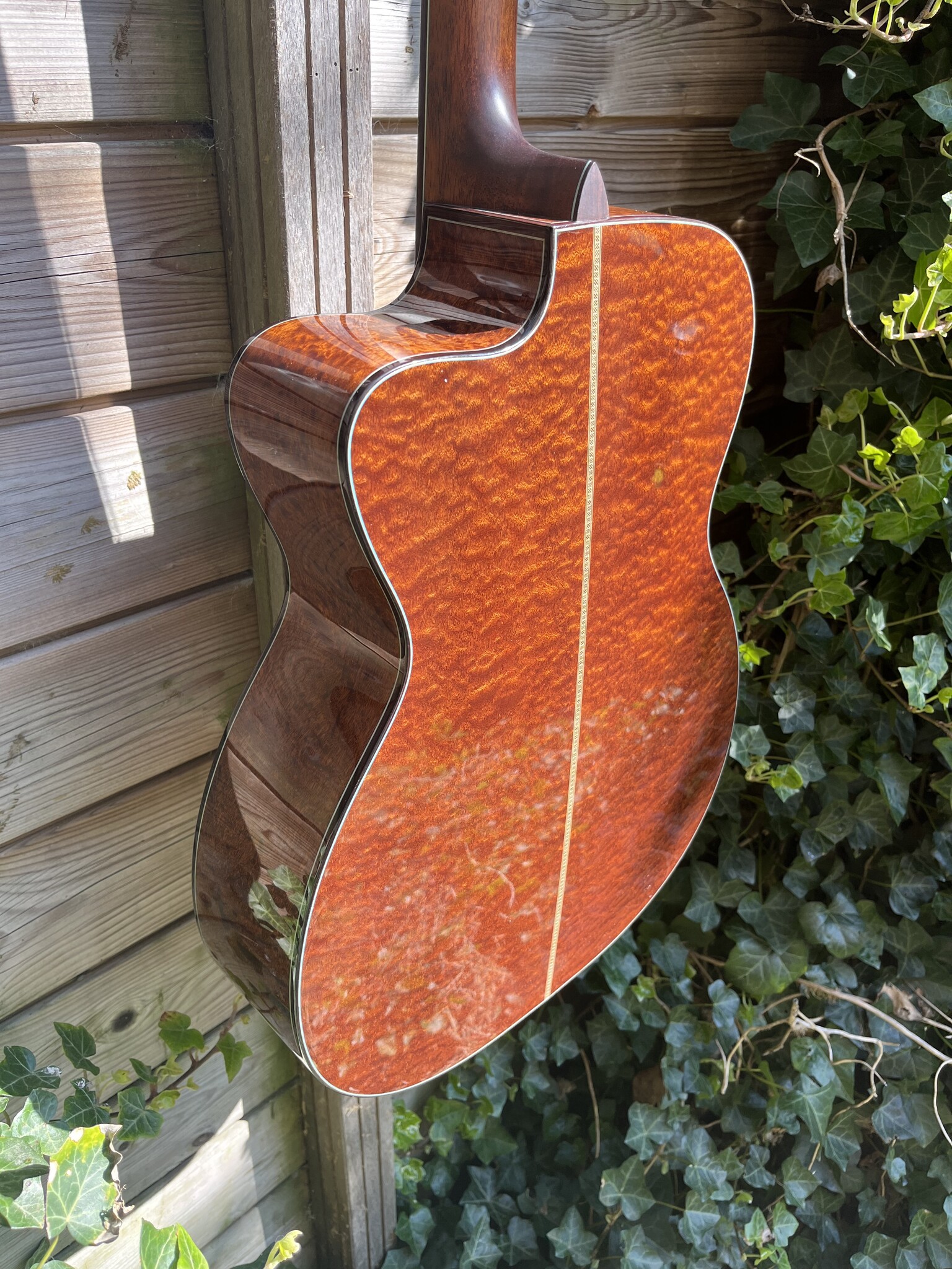 Eastman Eastman L-OMCE-QS