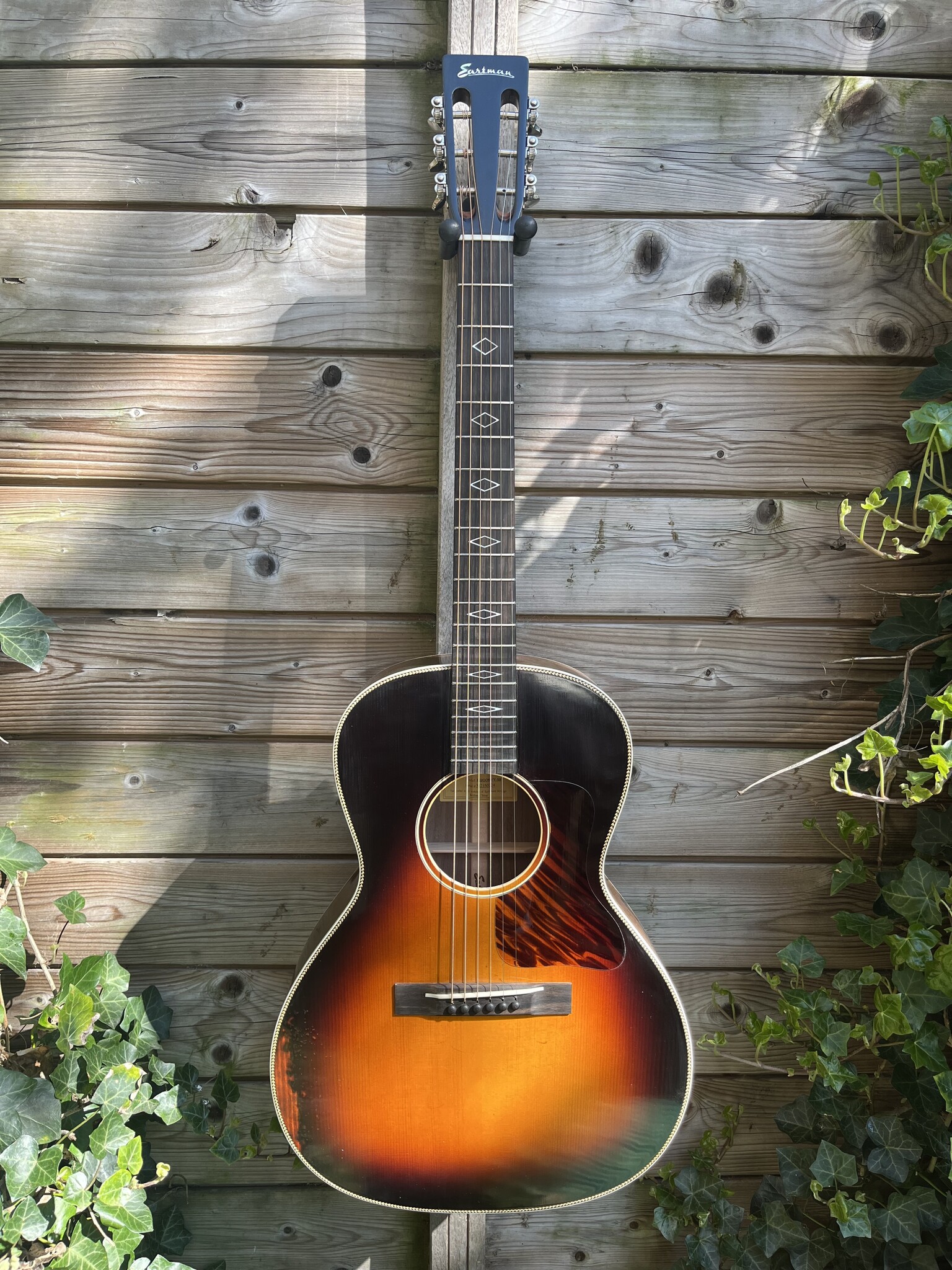 Eastman Eastman E22-00-SS/V-SB