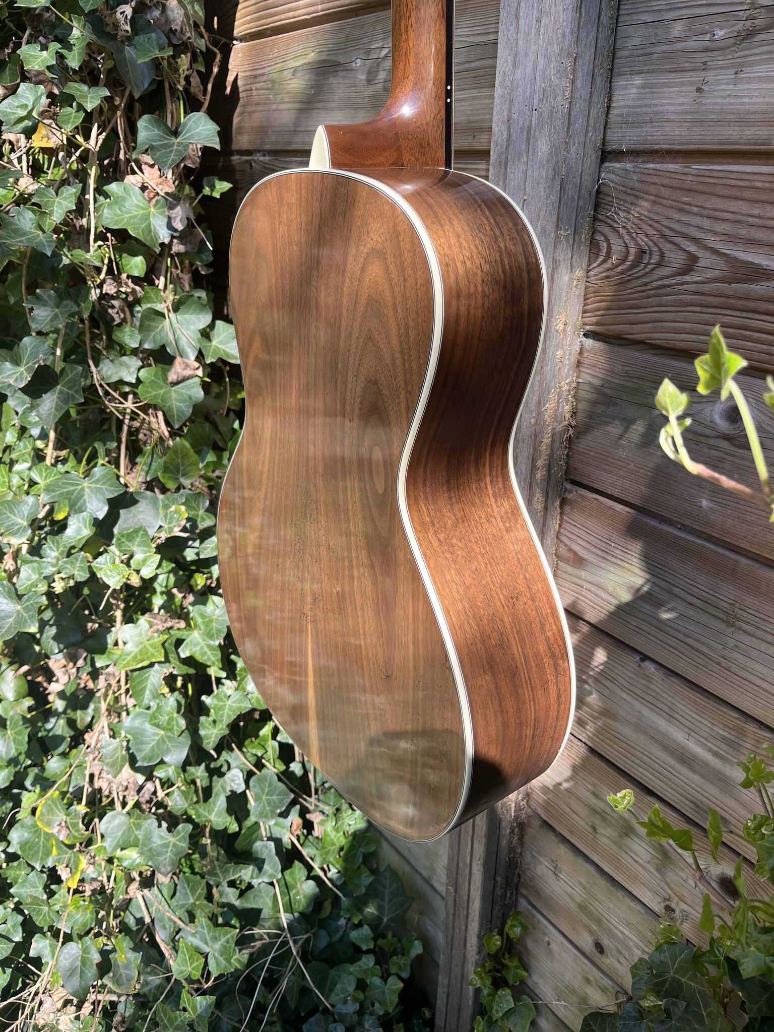 Eastman Eastman E22-00-SS/V-SB