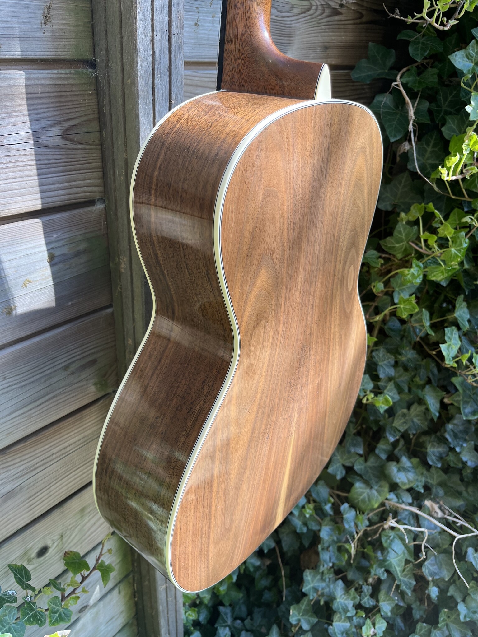 Eastman Eastman E22-00-SS/V-SB