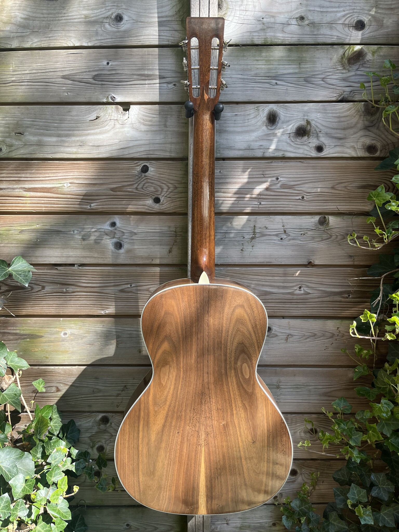 Eastman Eastman E22-00-SS/V-SB