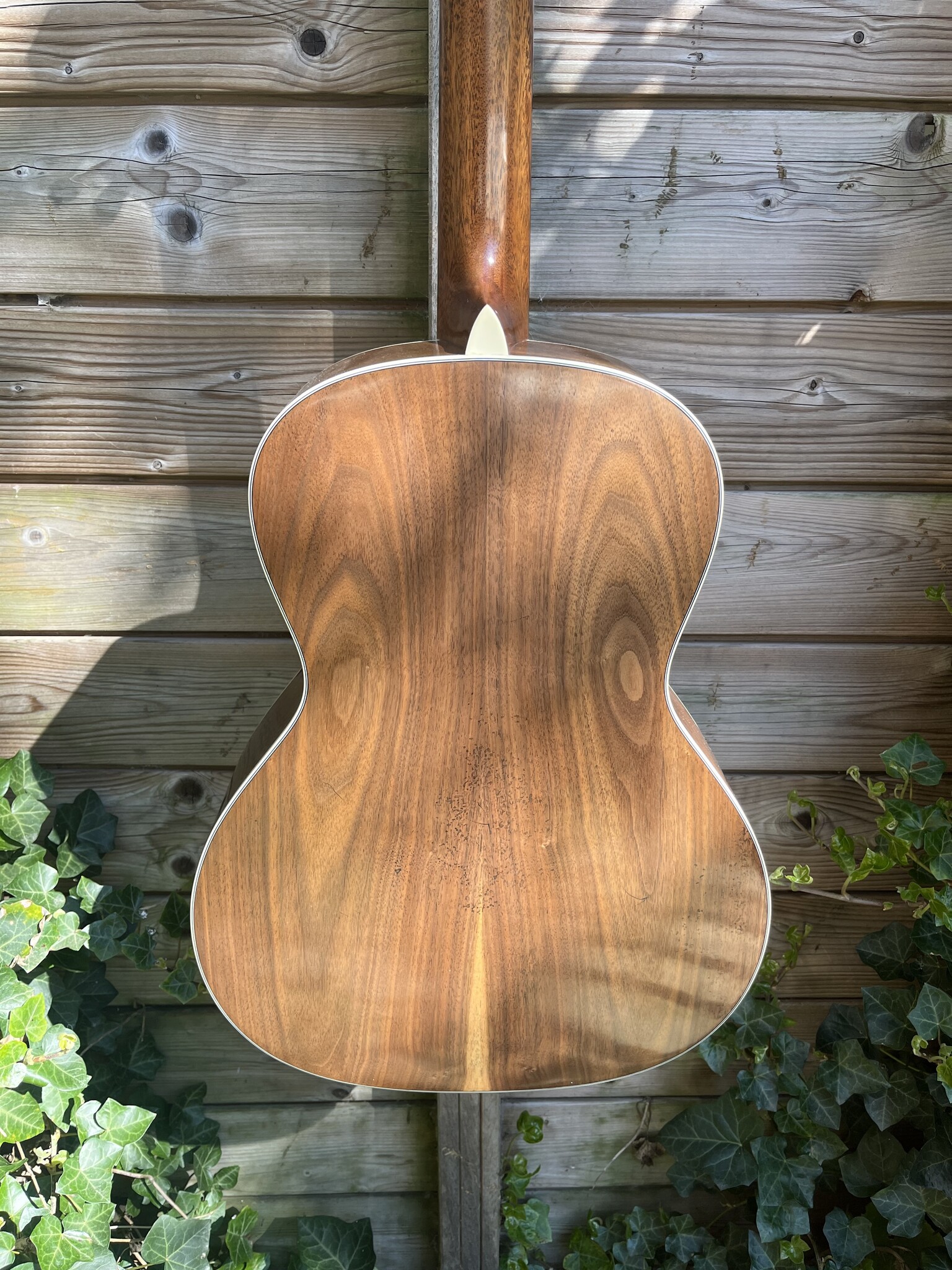 Eastman Eastman E22-00-SS/V-SB