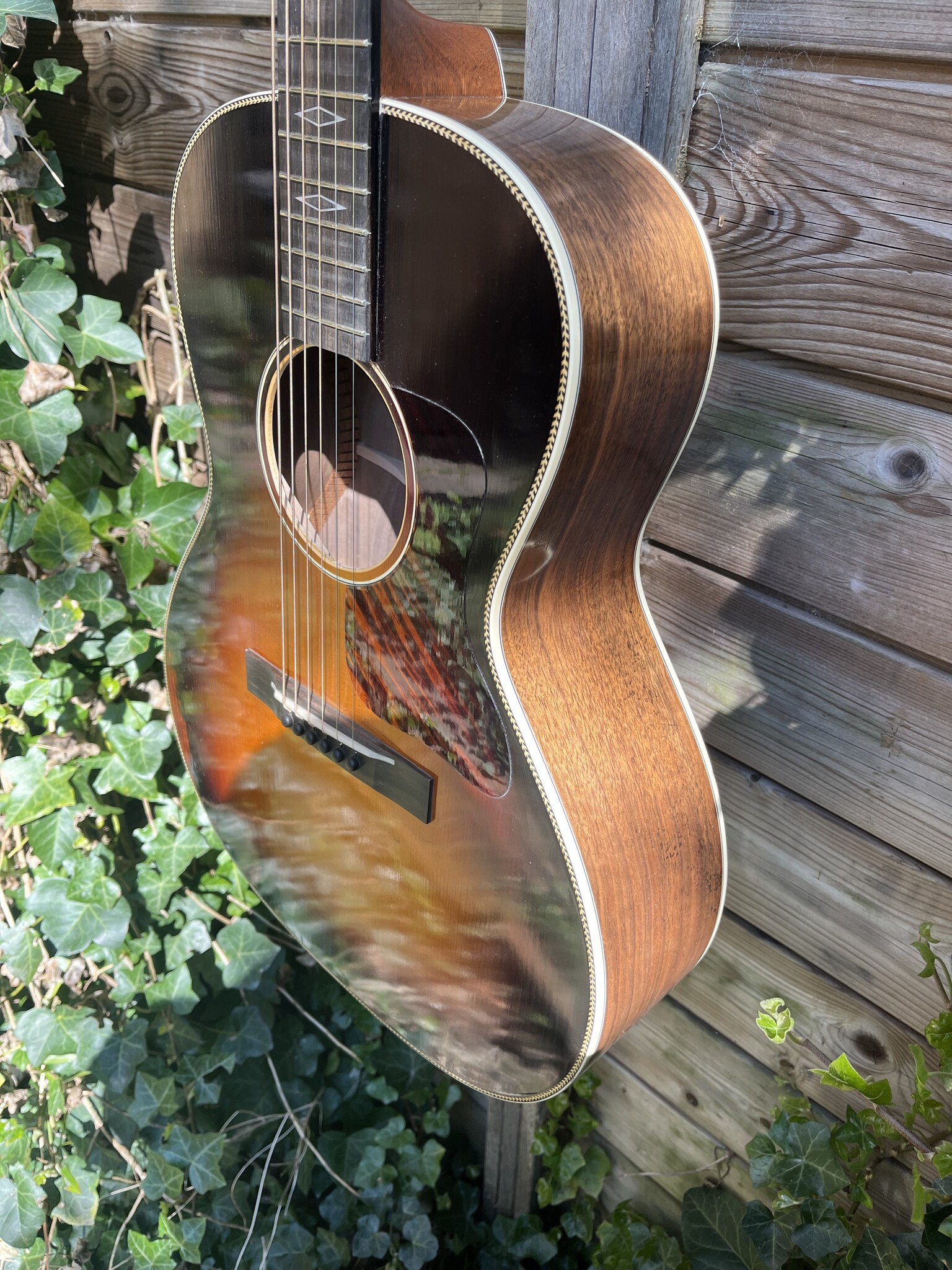 Eastman Eastman E22-00-SS/V-SB